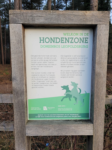 Honden weide Heppen
