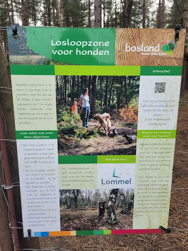 Lommel Kattenbos hondenlosloopzone