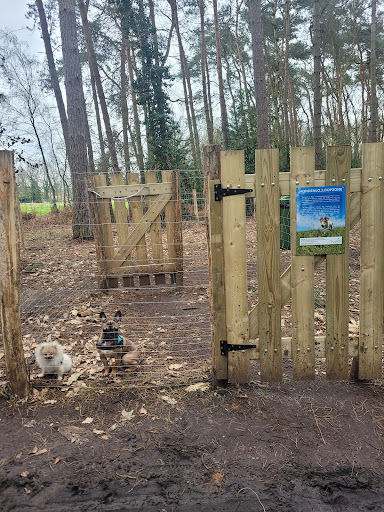 Hondenlosloopzone - Ham