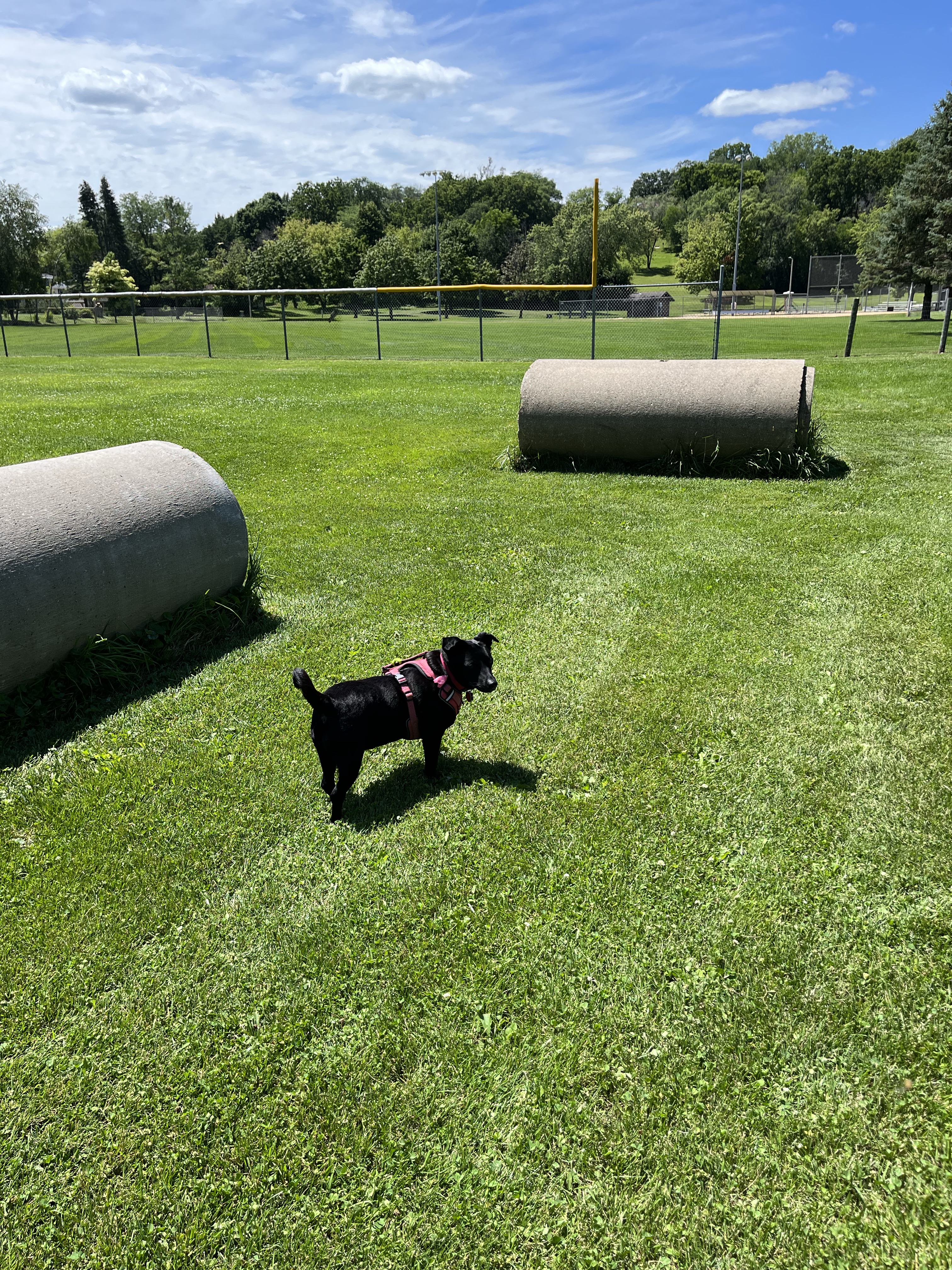Deerfield Dog Park