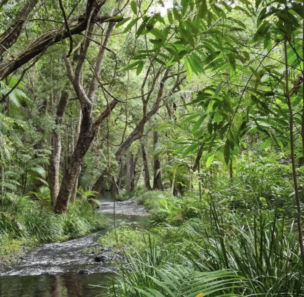 A Place To Call Home (camping site bookings via Hipcamp)