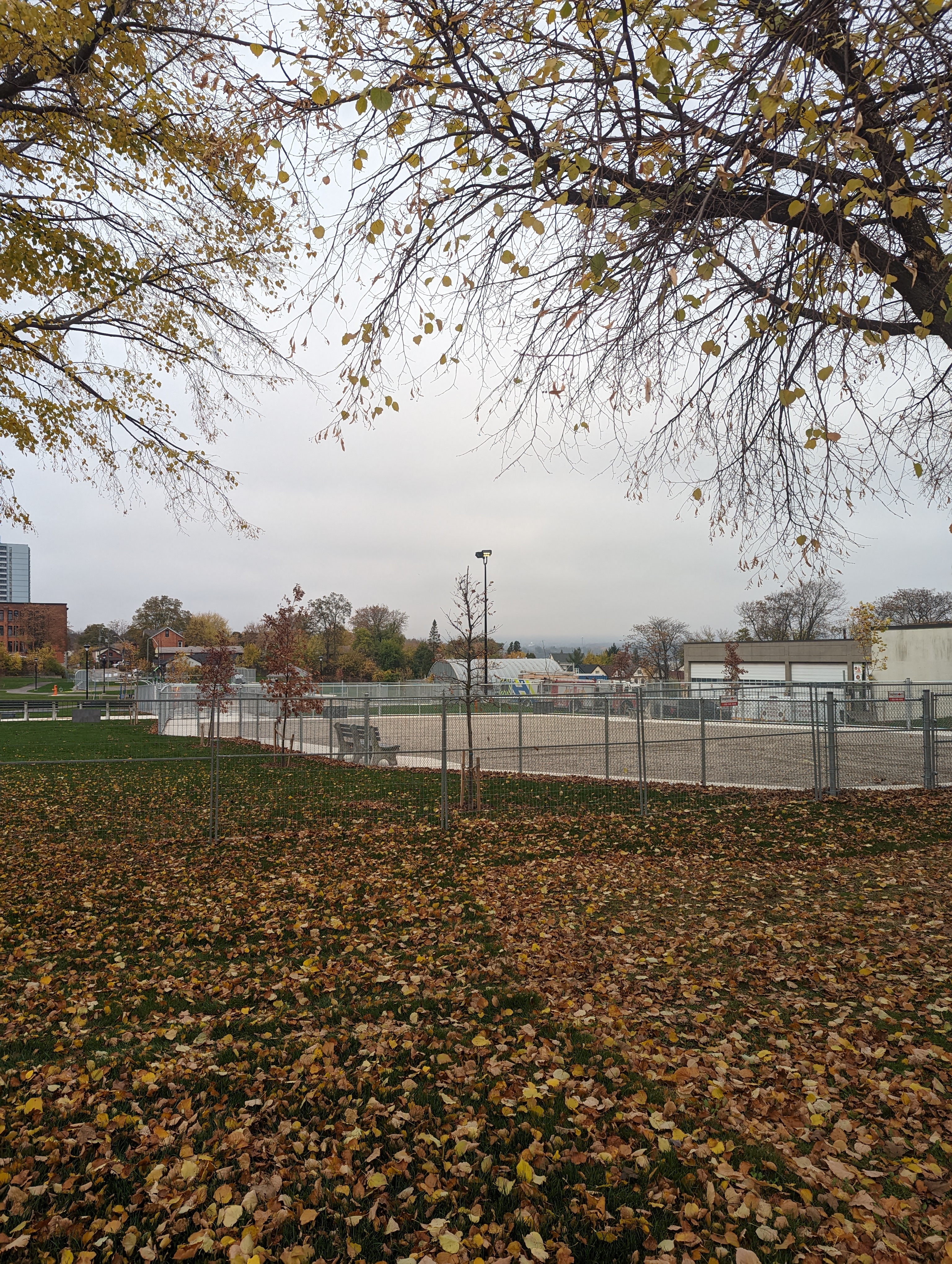 Central Park Dog Run