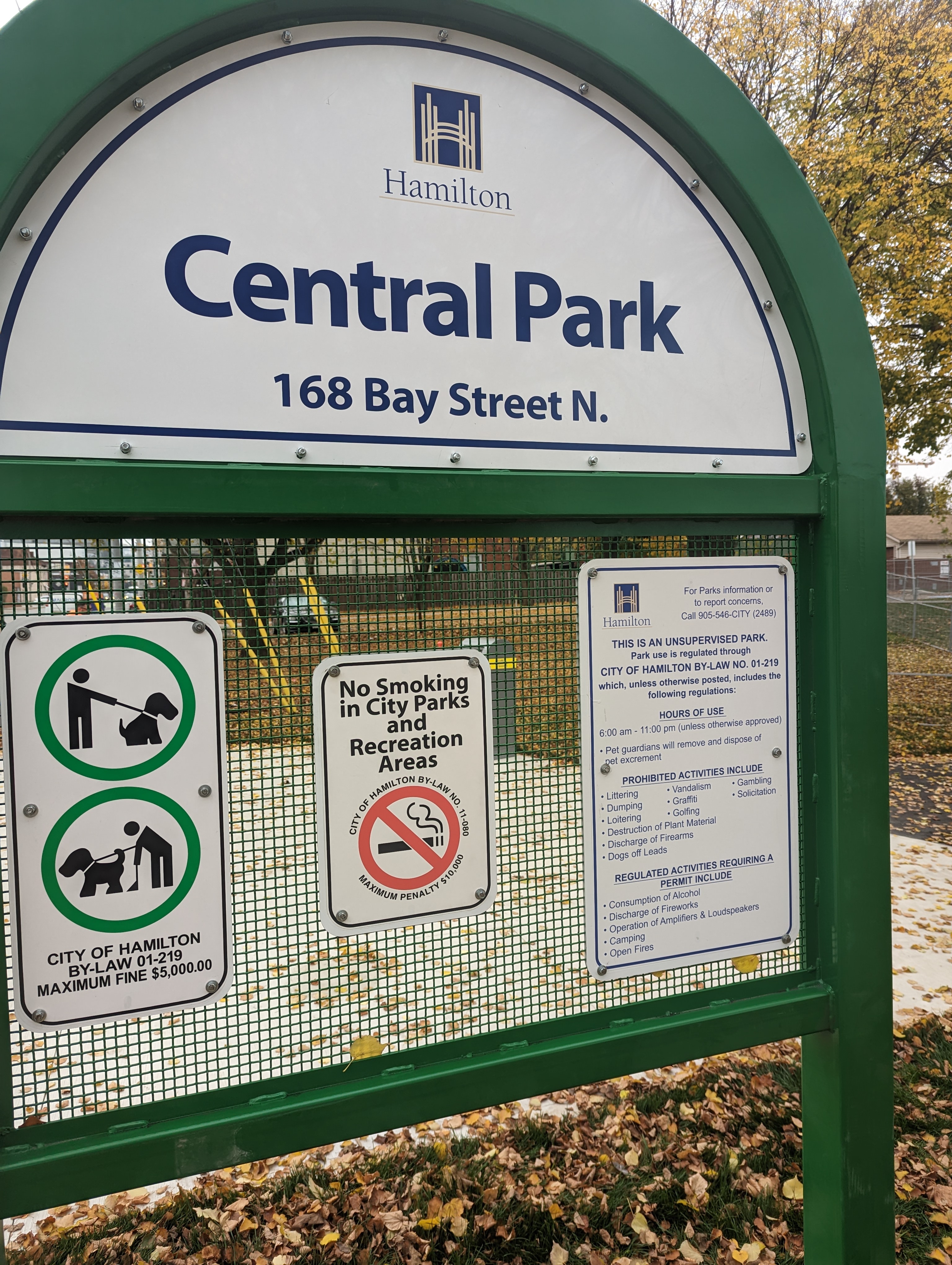 Central Park Dog Run