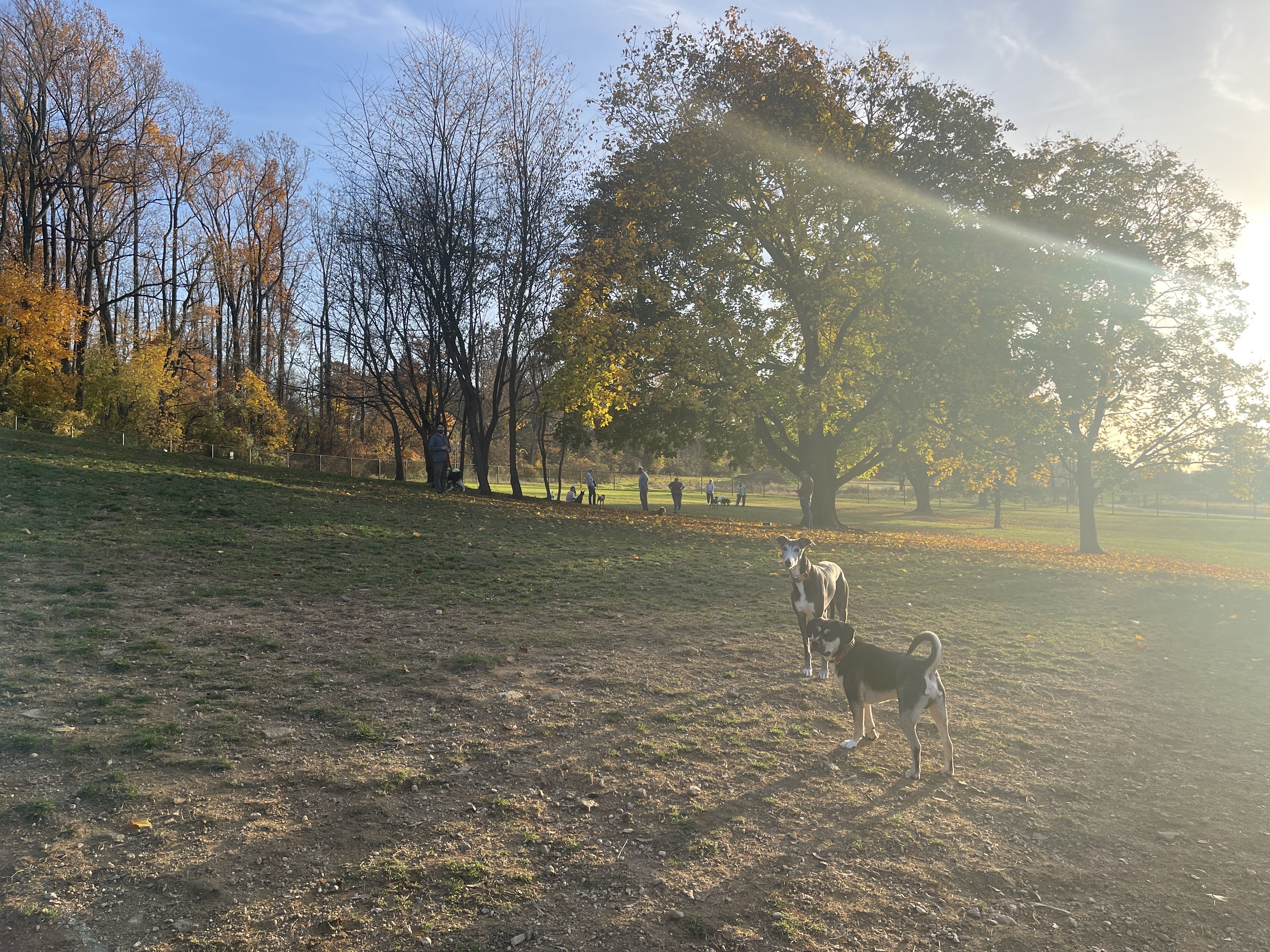 Twining Valley Dog Park