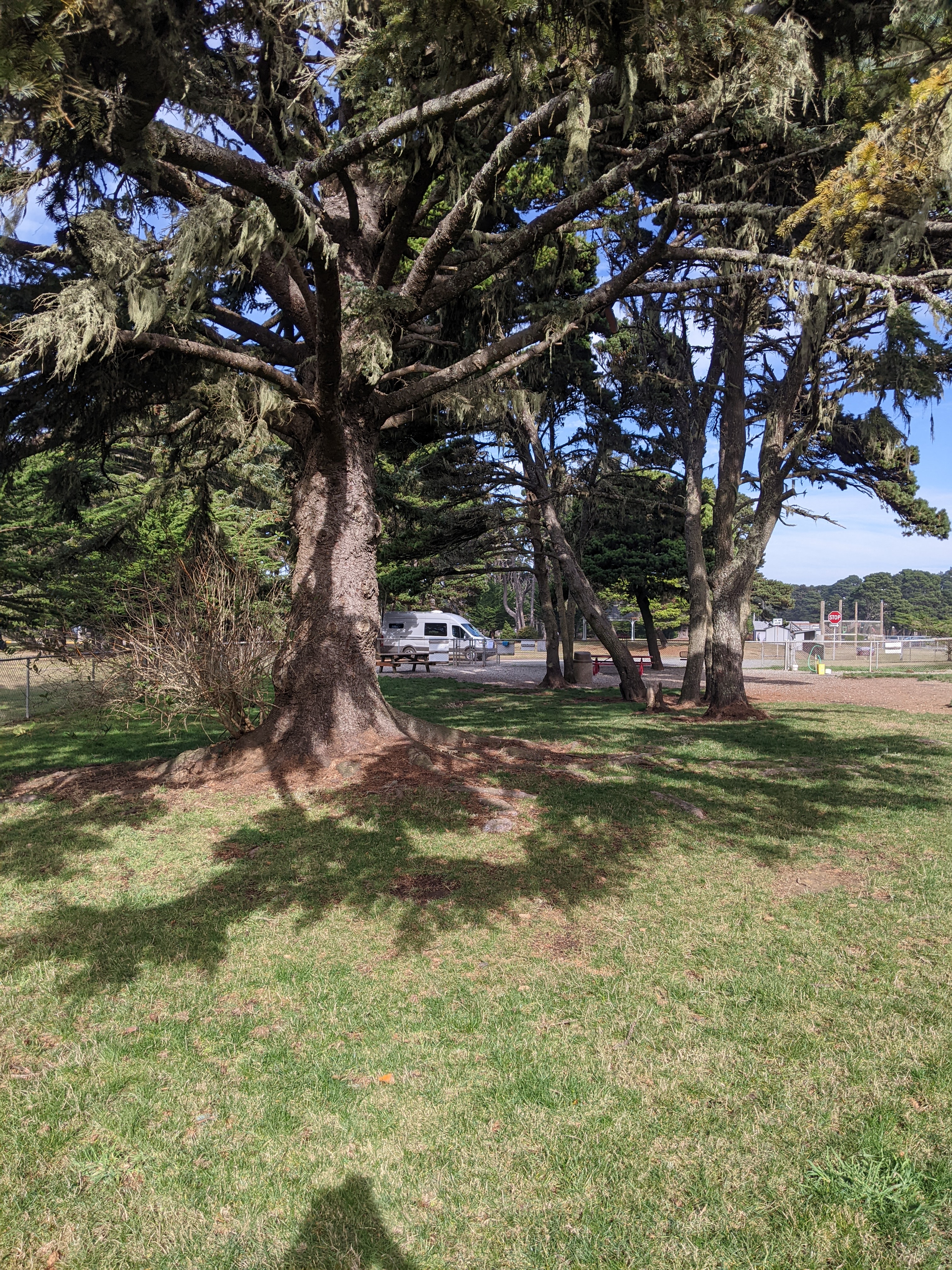 Bandon Dog Park