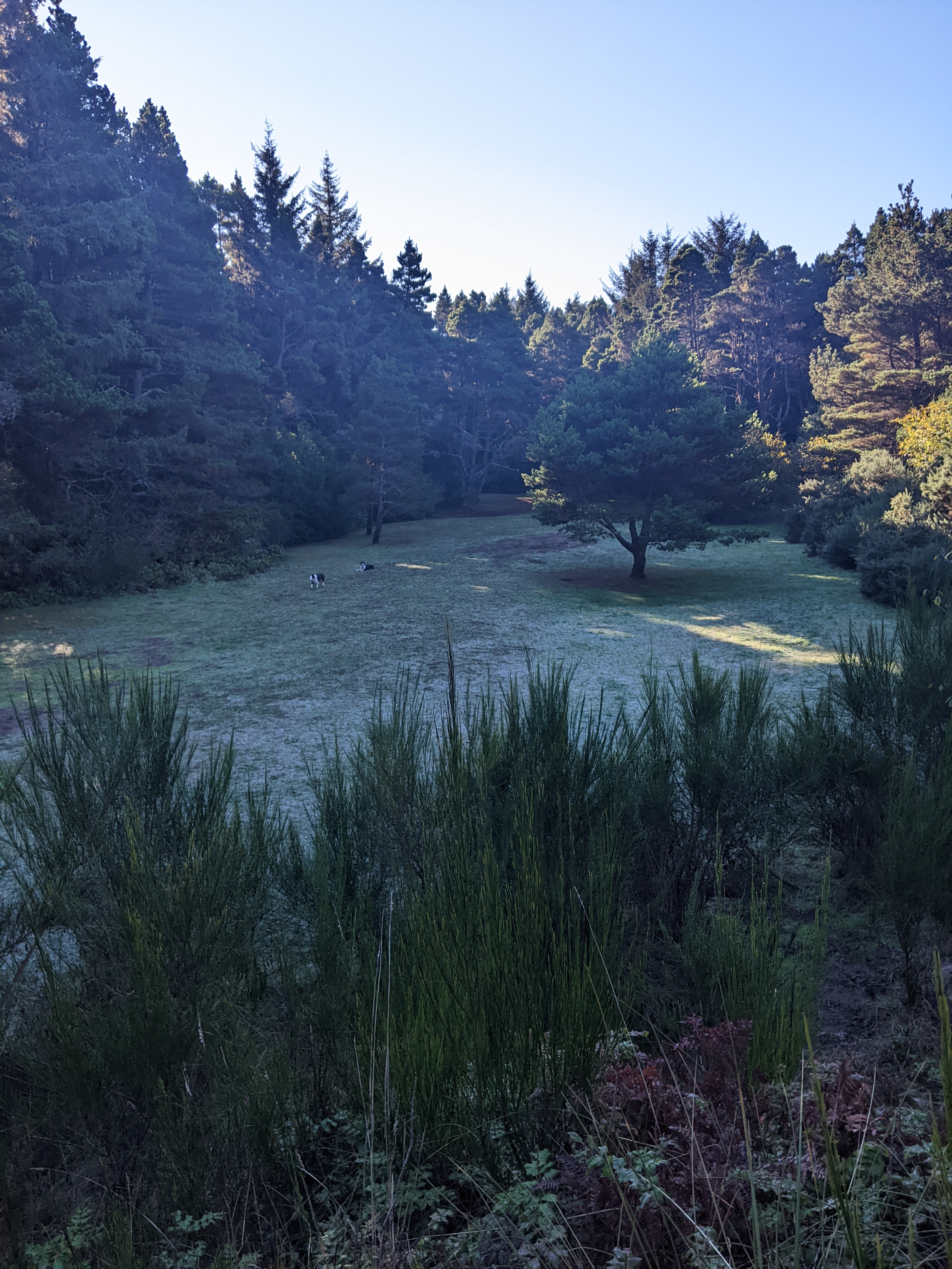 Bandon Off Leash Dog Park