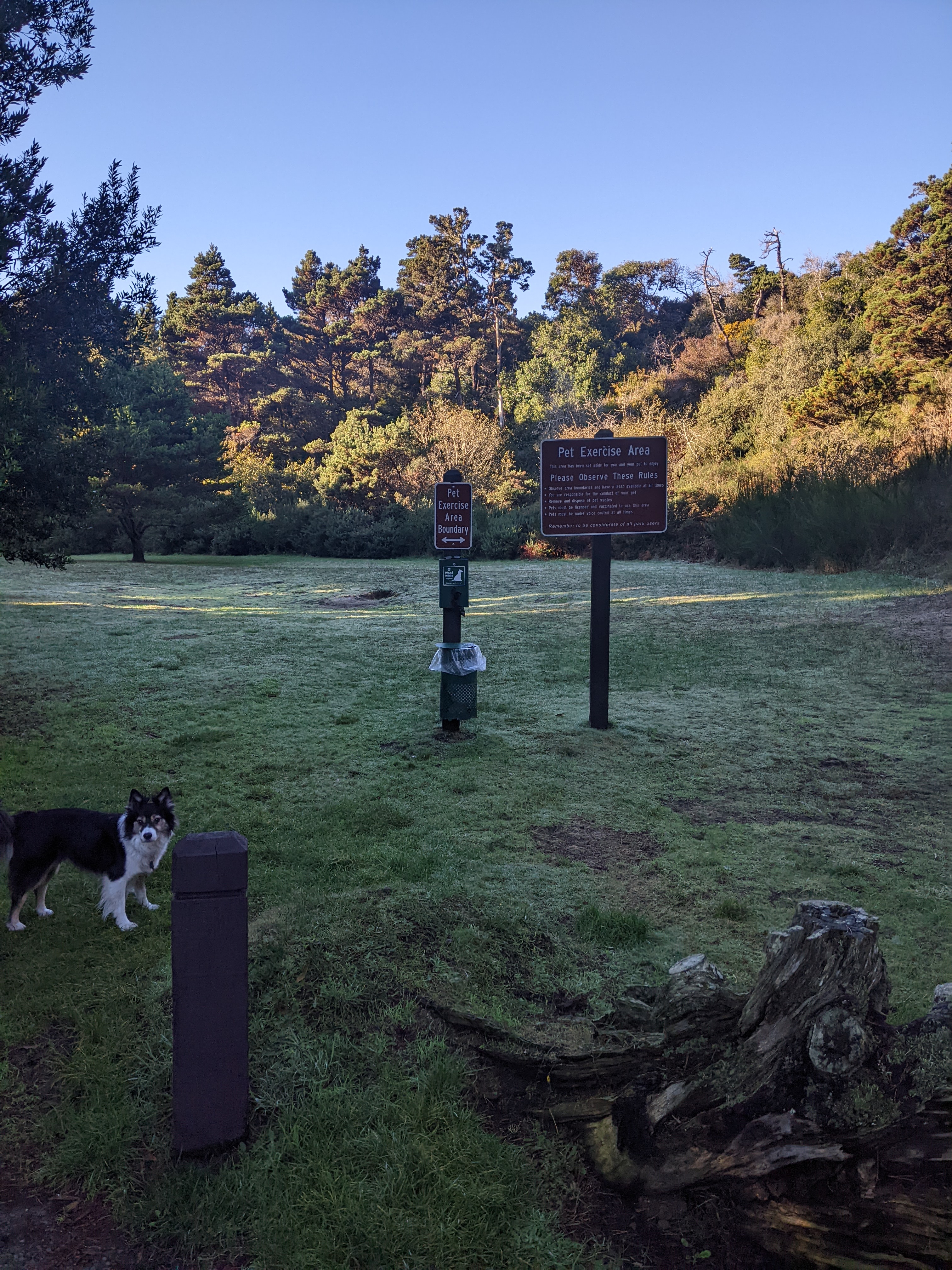 Bandon Off Leash Dog Park