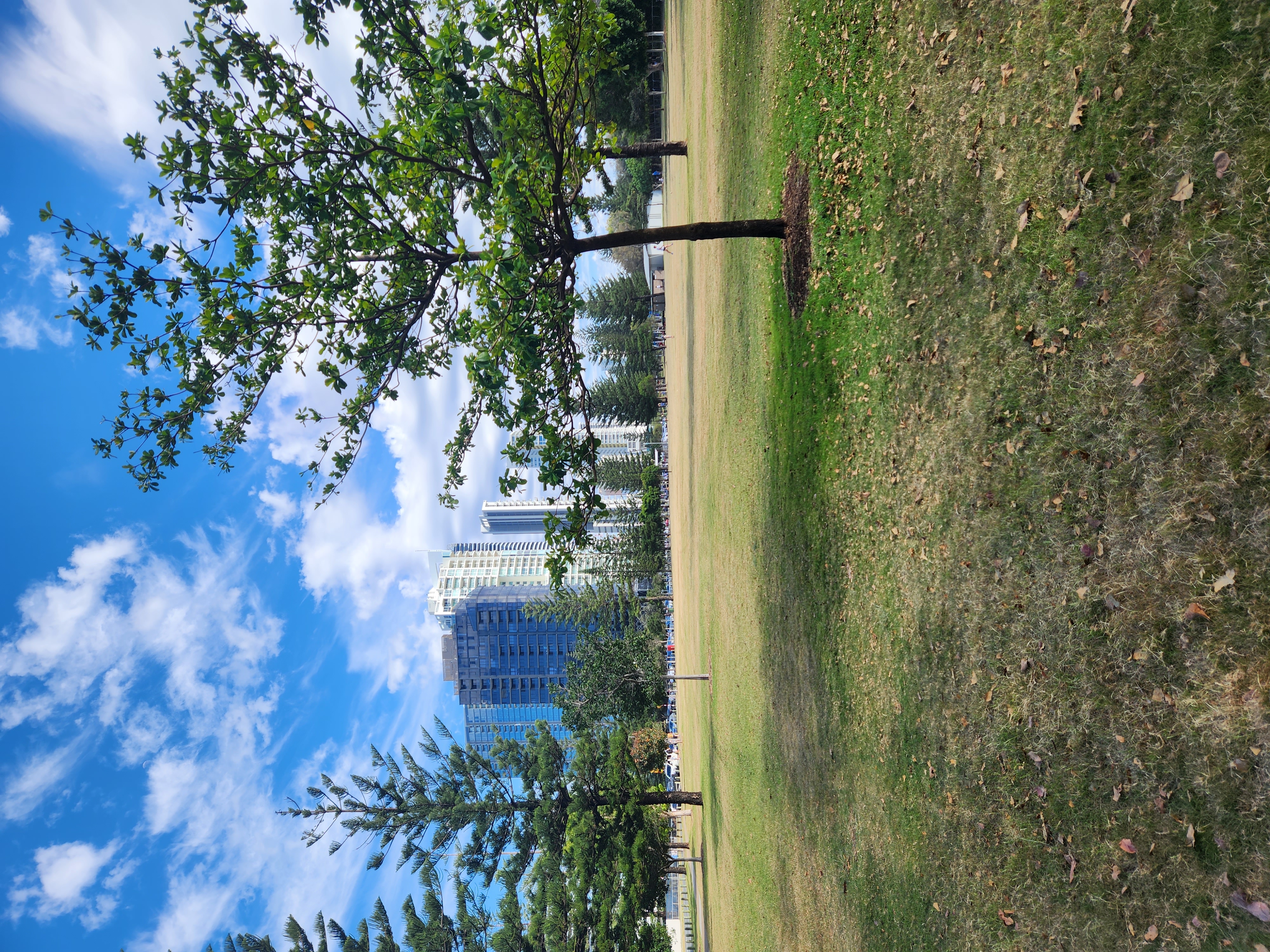 Hedges Avenue Off Leash Dog Park