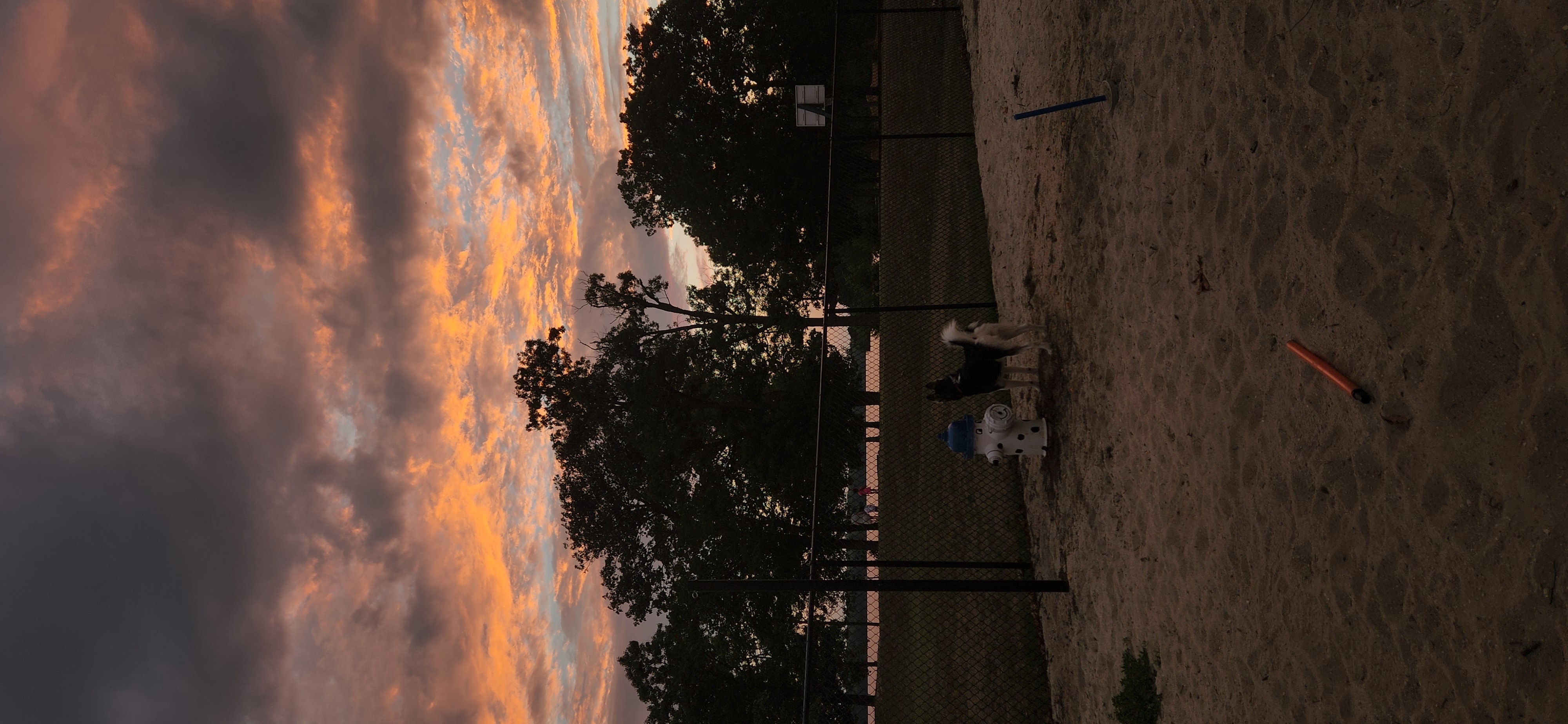 Thunderbolt Bark Park