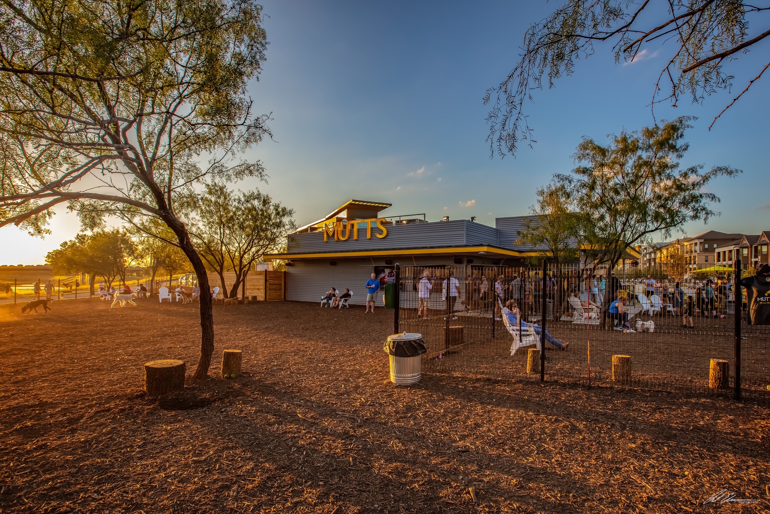 MUTTS Canine Cantina