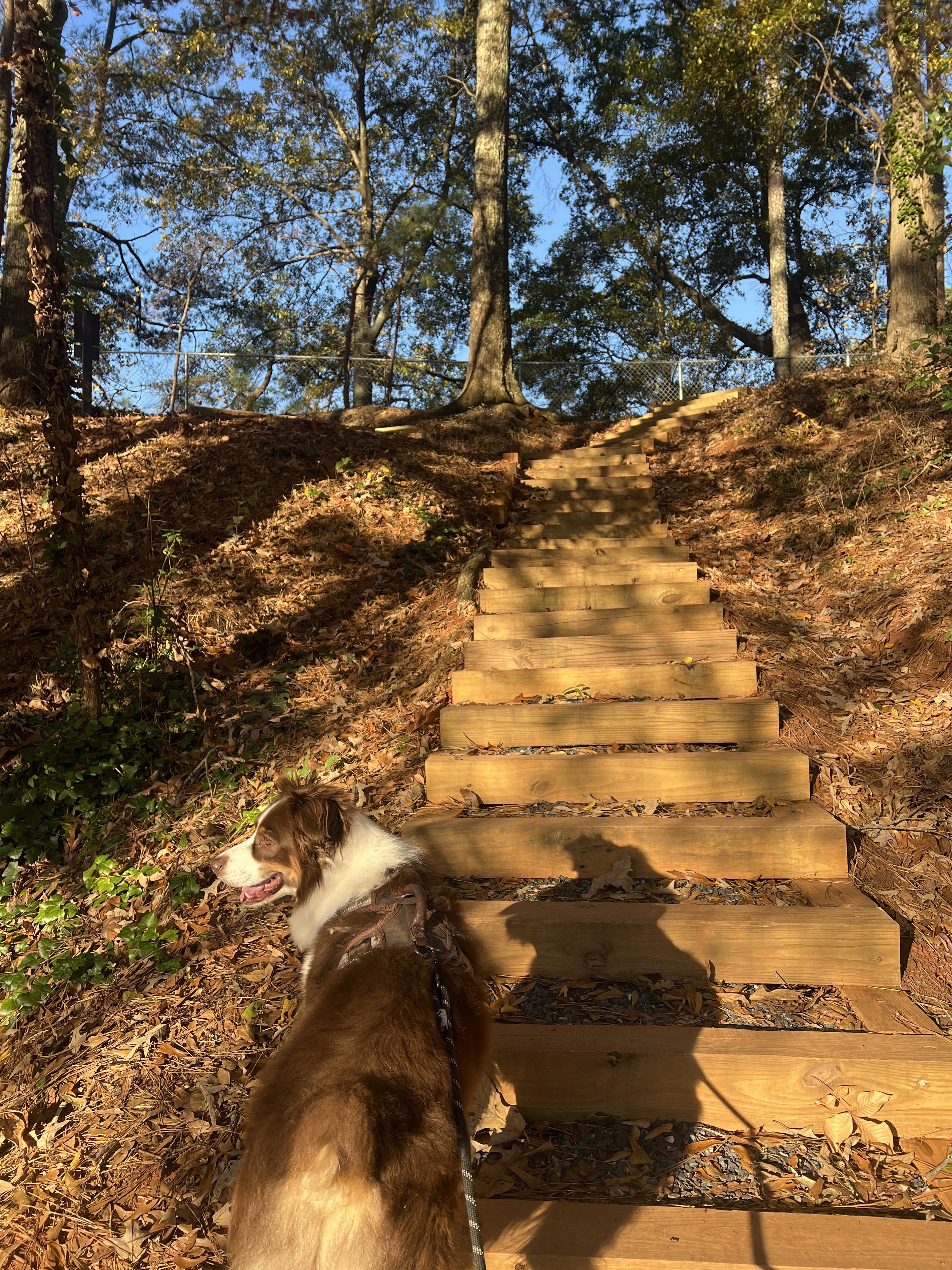 DeKalb Memorial Park