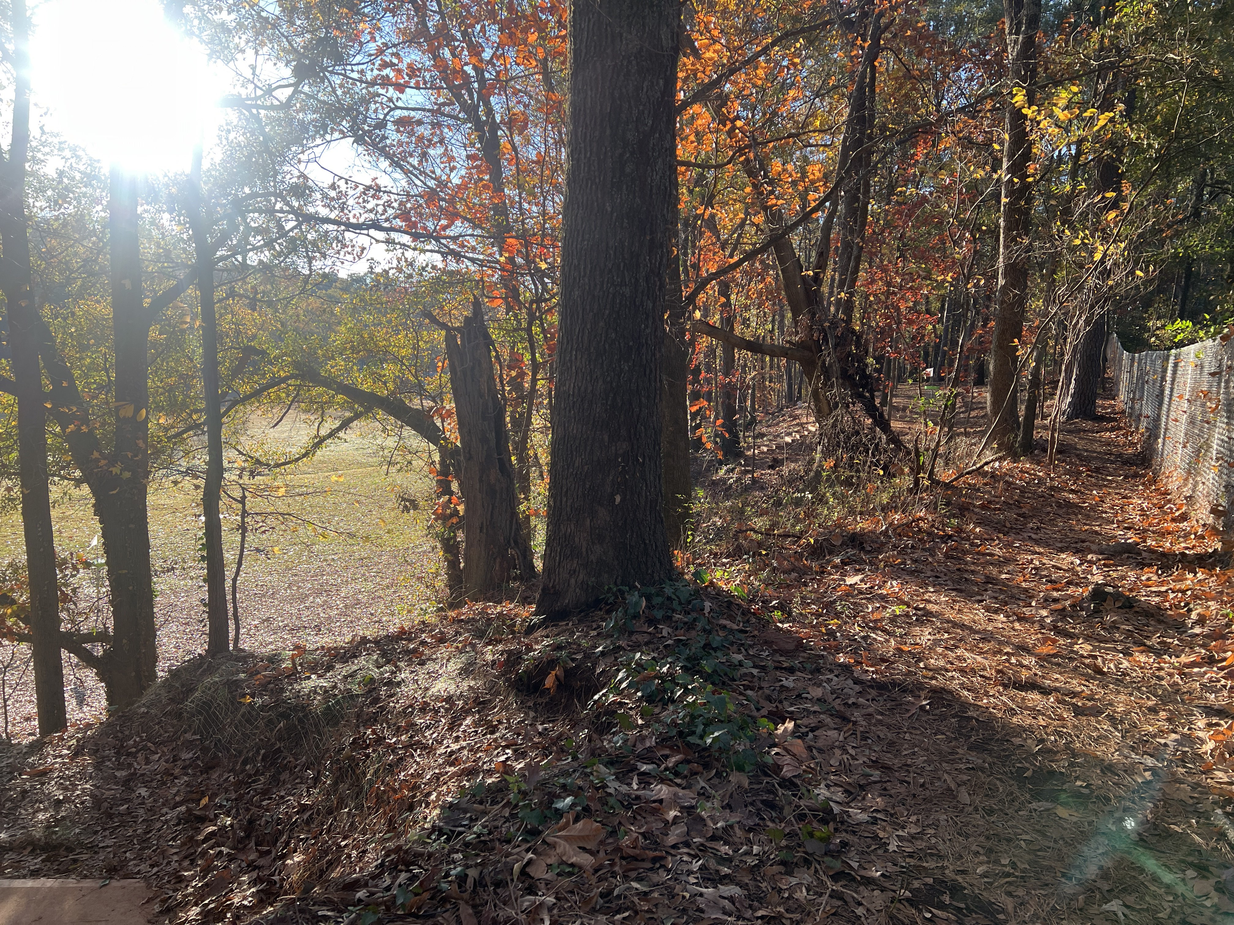 DeKalb Memorial Park