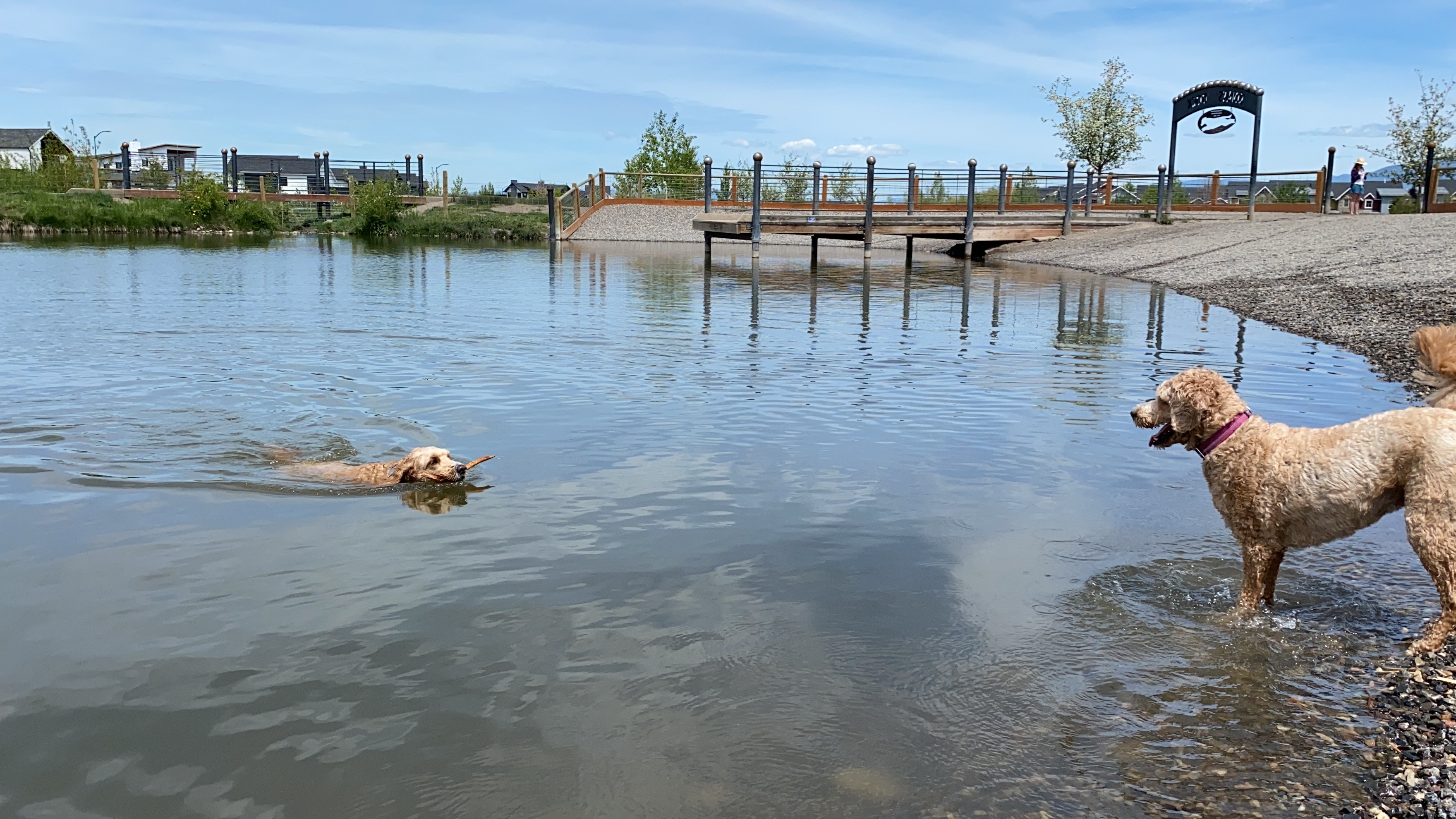Dog Park At Gallatin County Regional Park