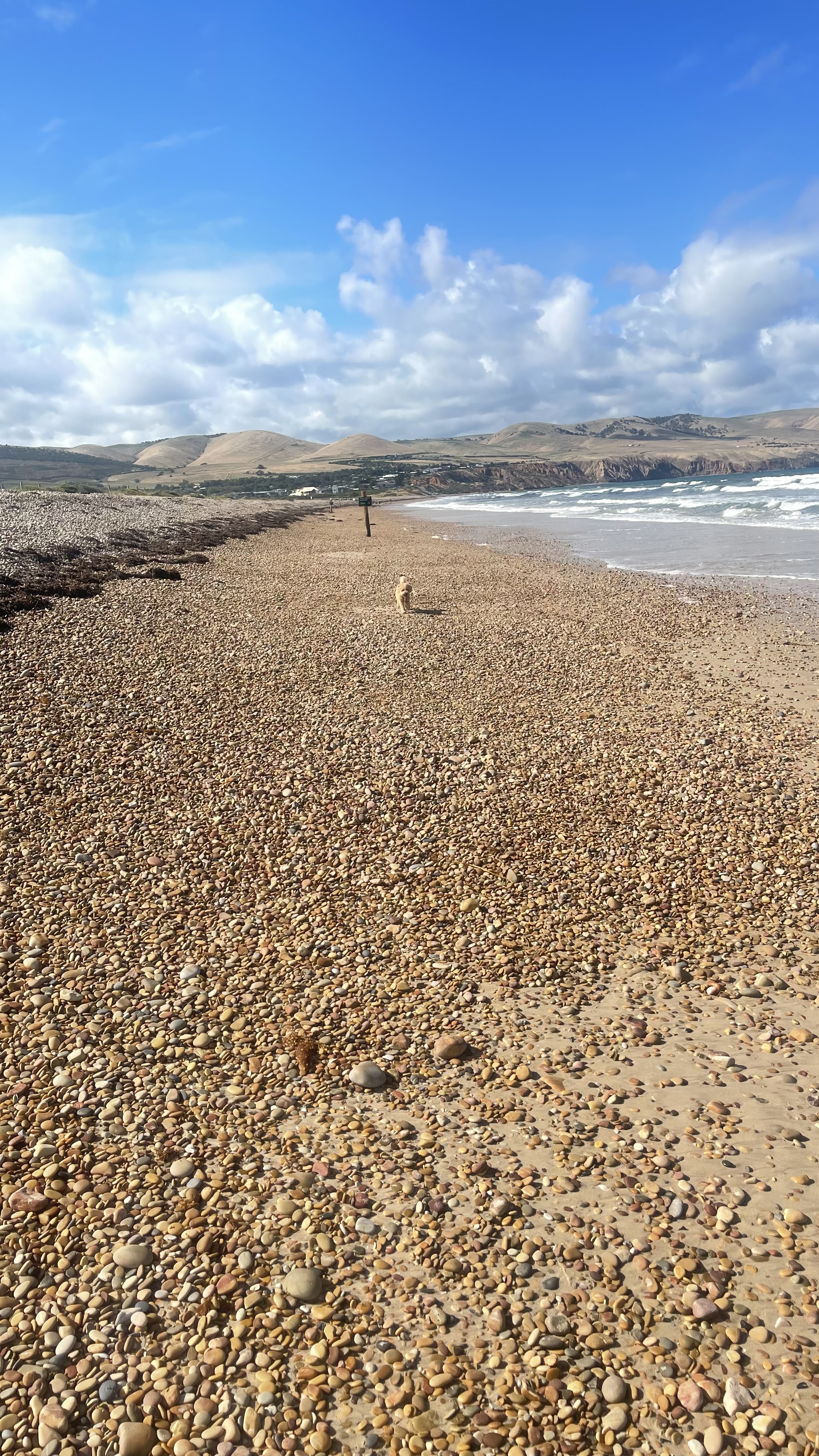 Silver Sands Off-Leash Beach