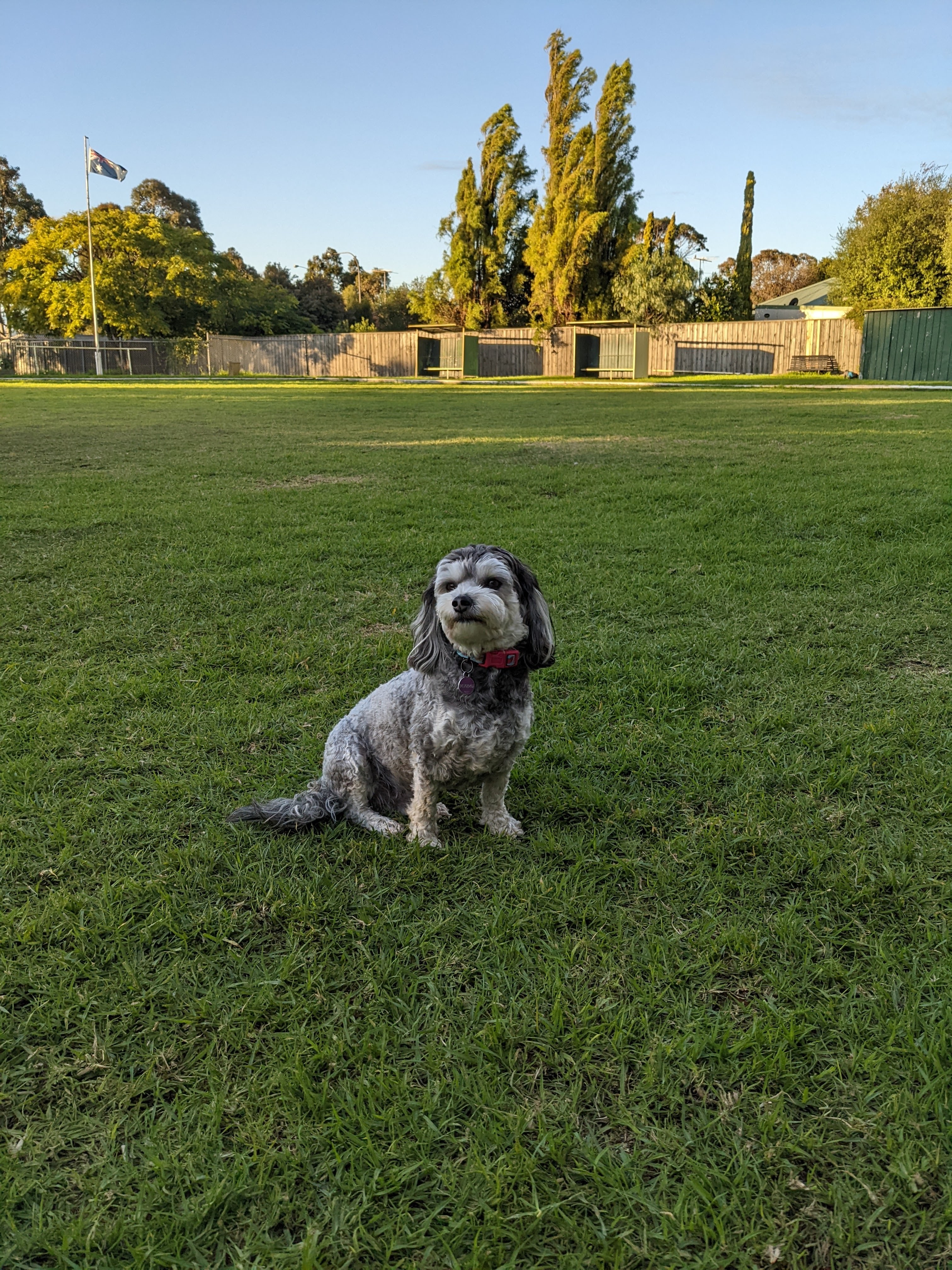 Mary Street Reserve