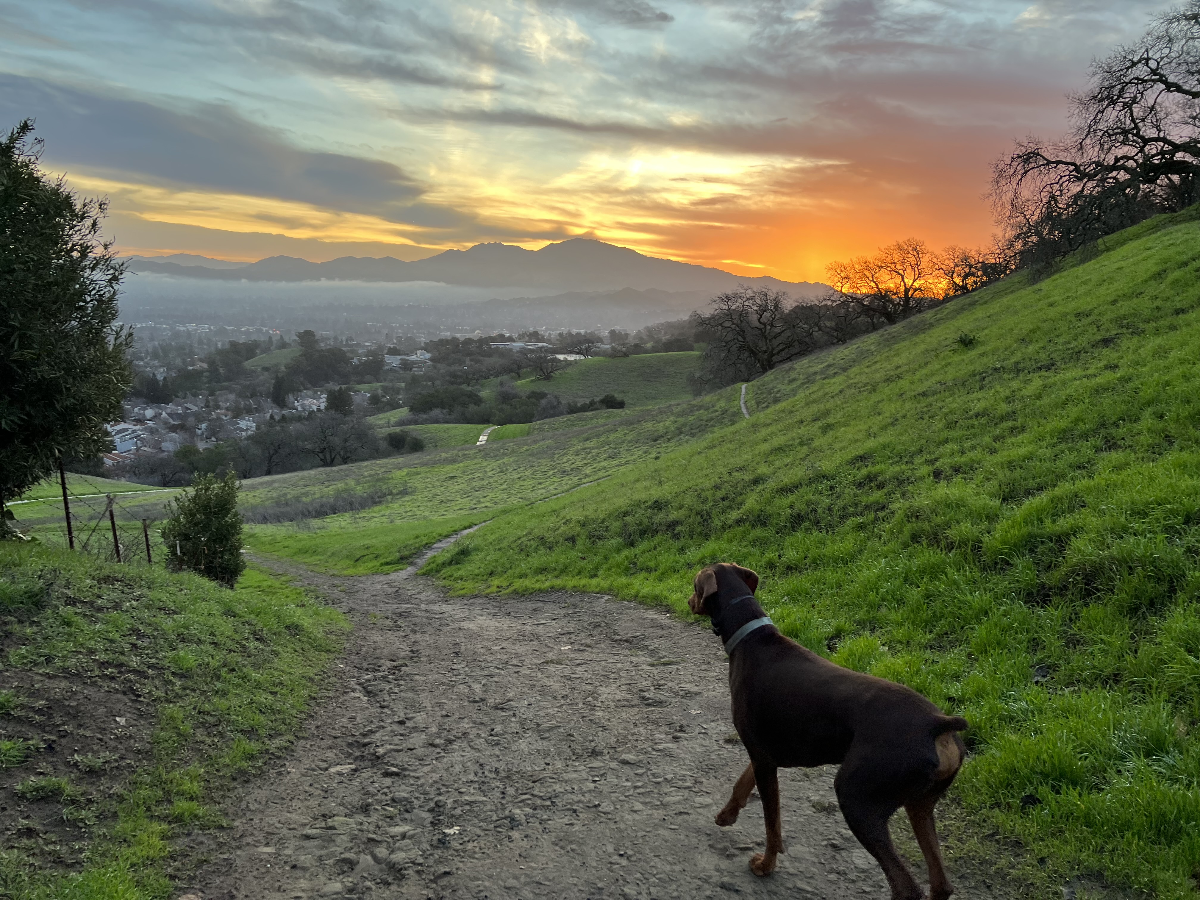 Ridge Top Field Open Space