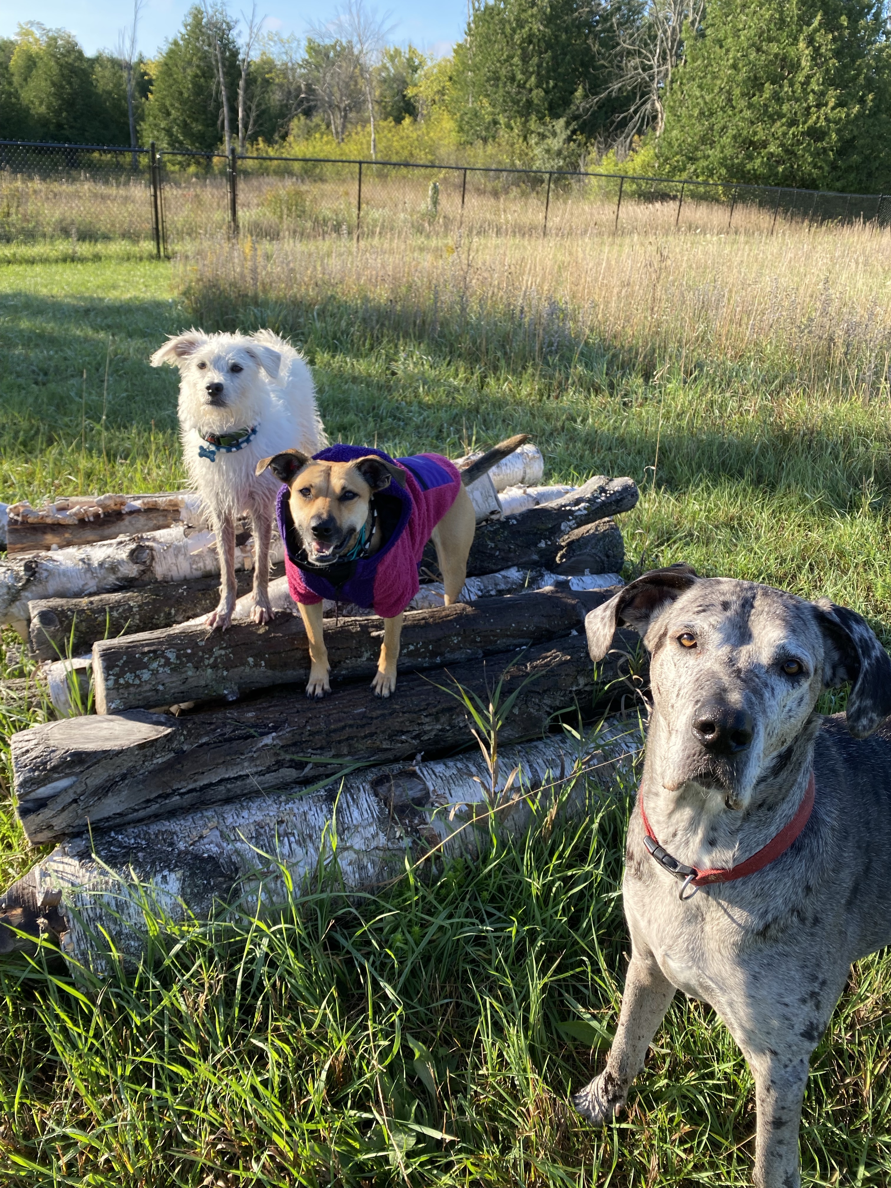 Pawradise Acres (PRIVATE PARK)