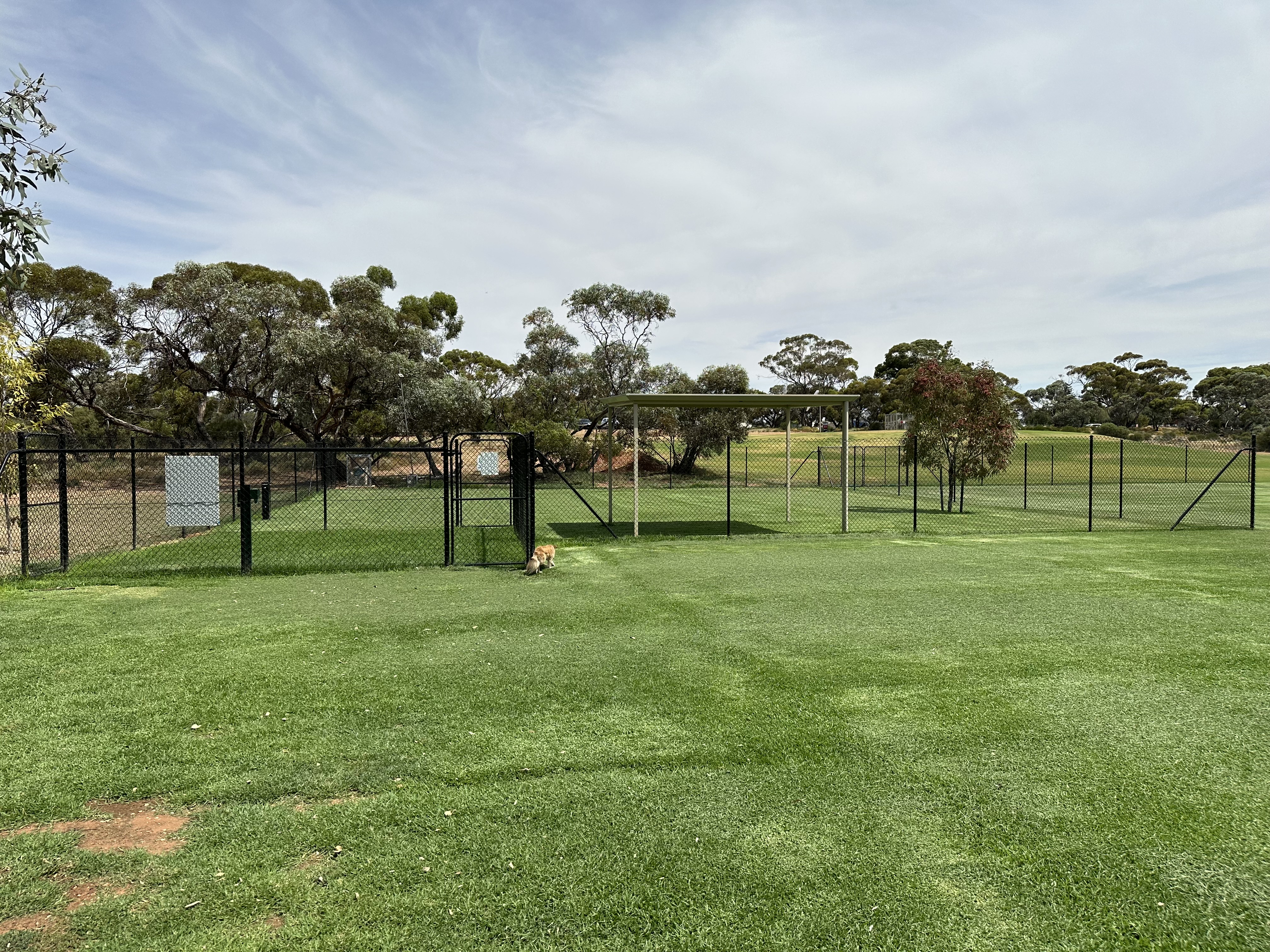 Colin Jennings Apex Dog Park
