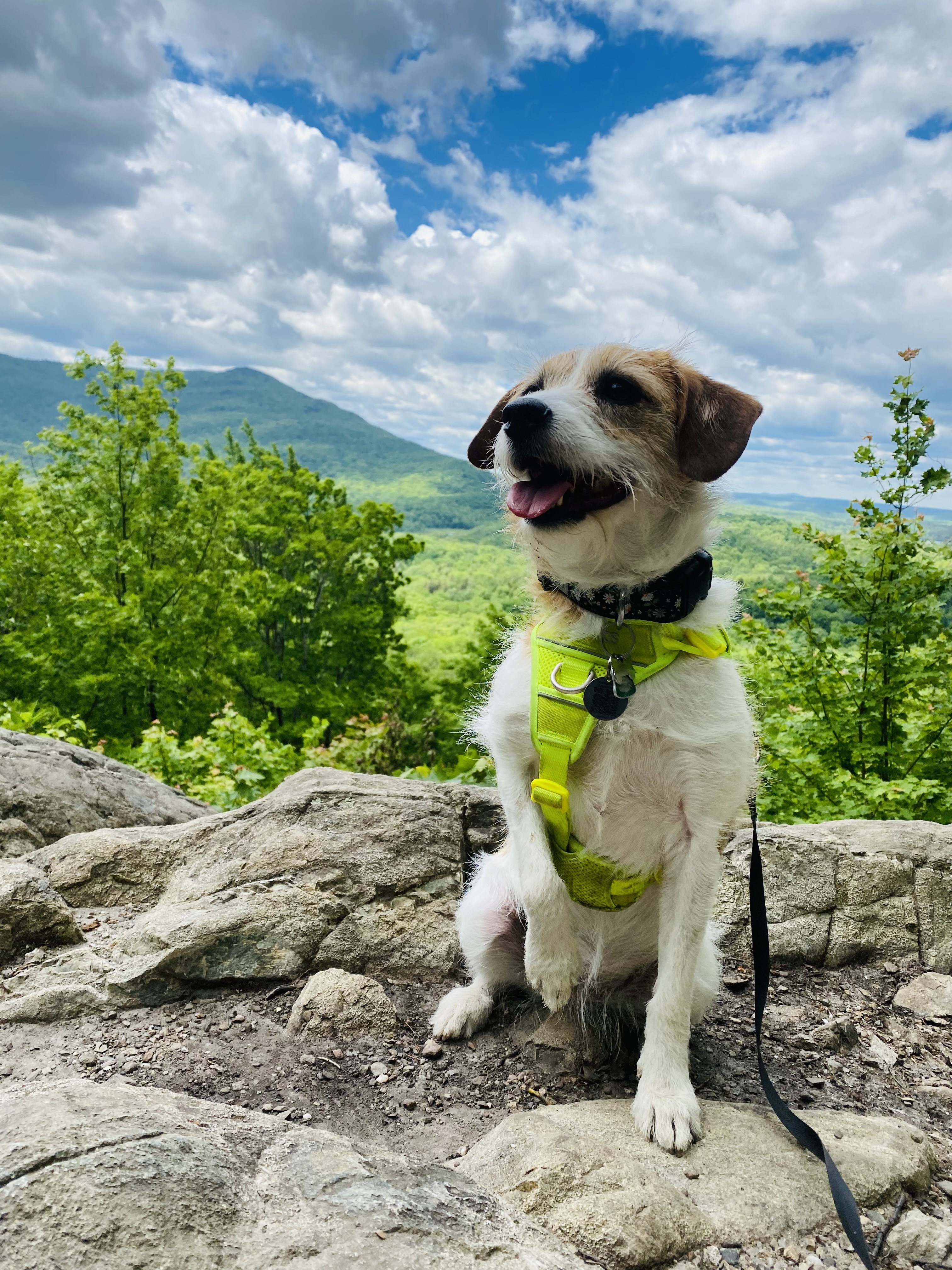 Parc national du Mont-Orford