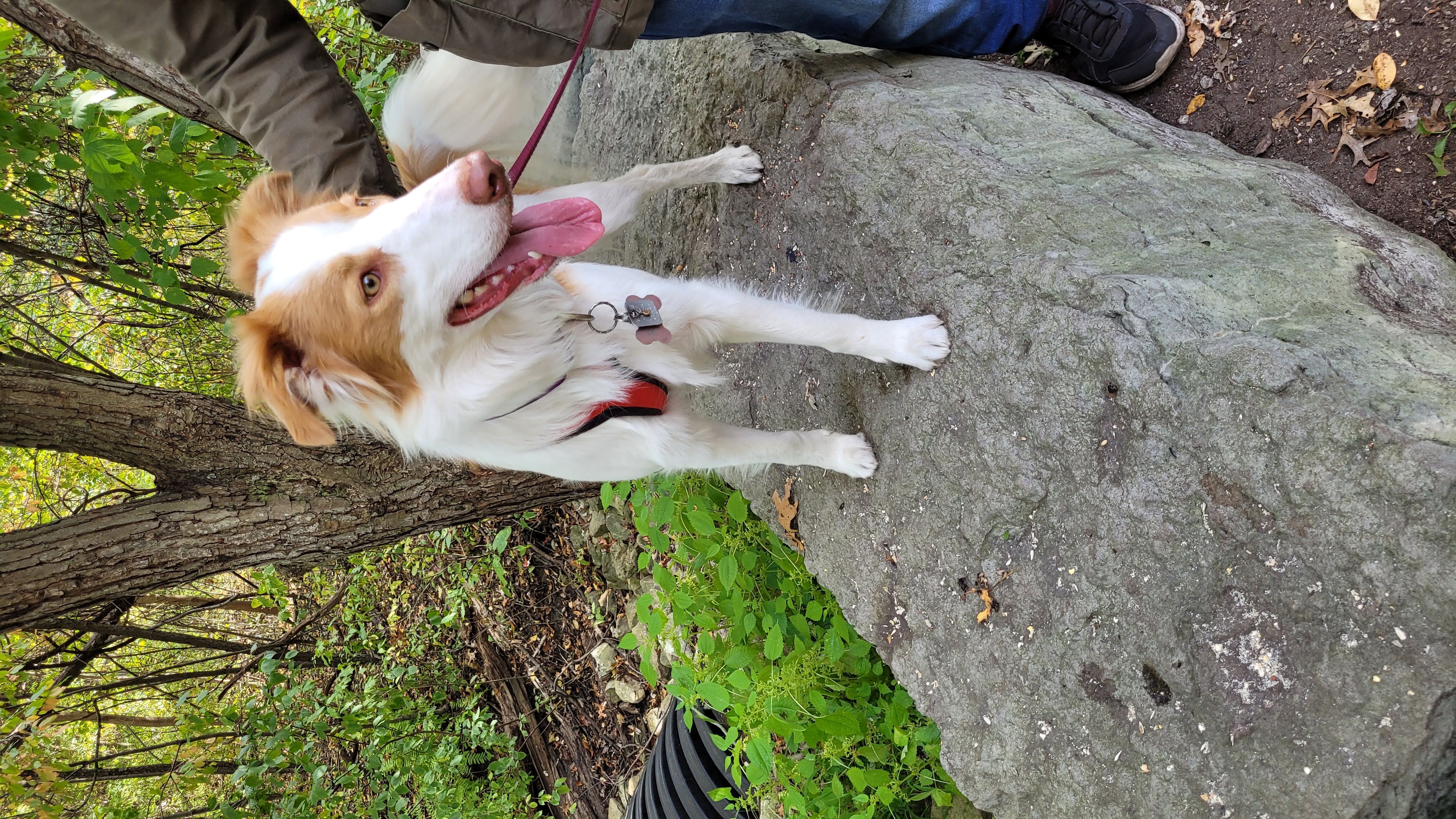 Ojibway Prairie Provincial Nature Reserve