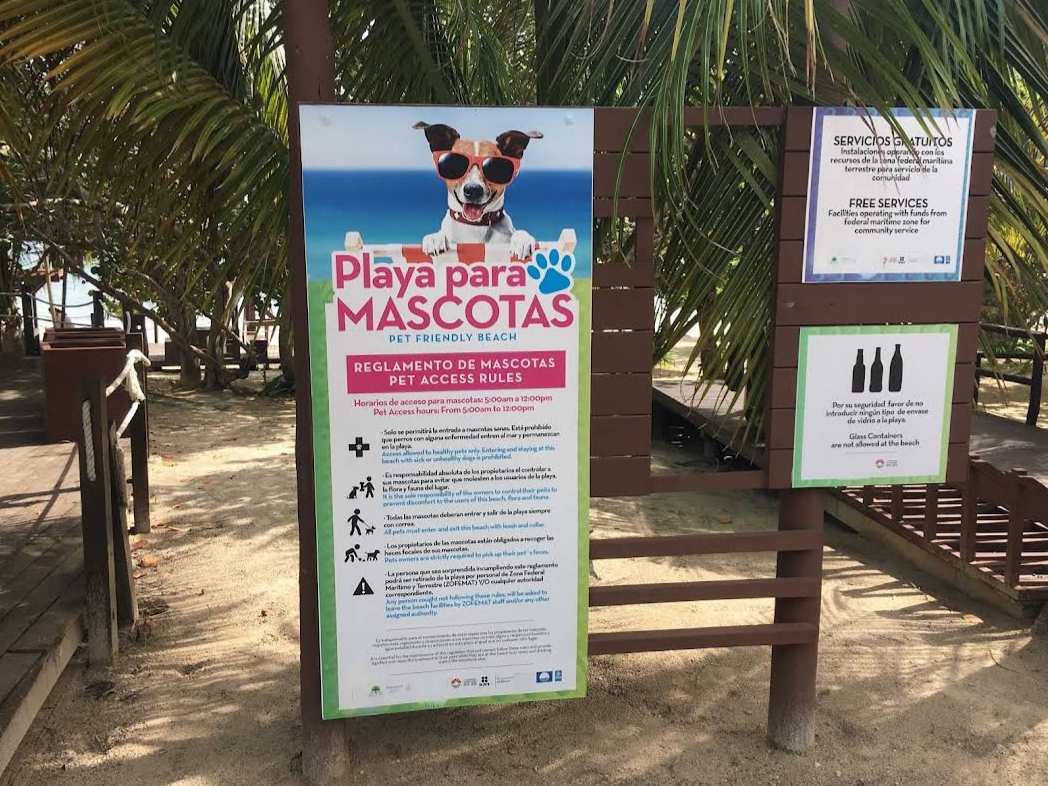 Playa Coral (El Mirador II) - Pet Friendly Beach