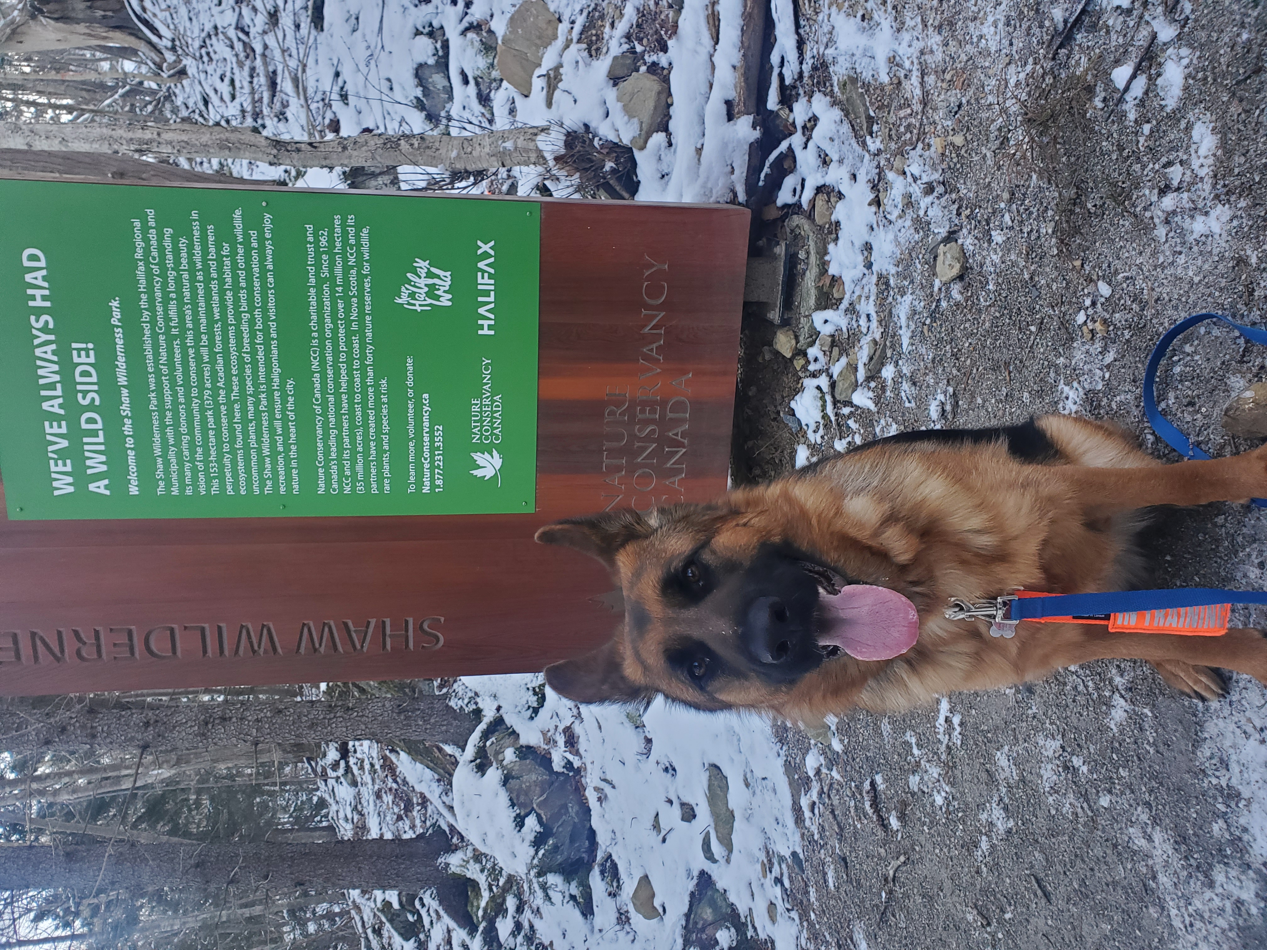 Shaw Wilderness Park