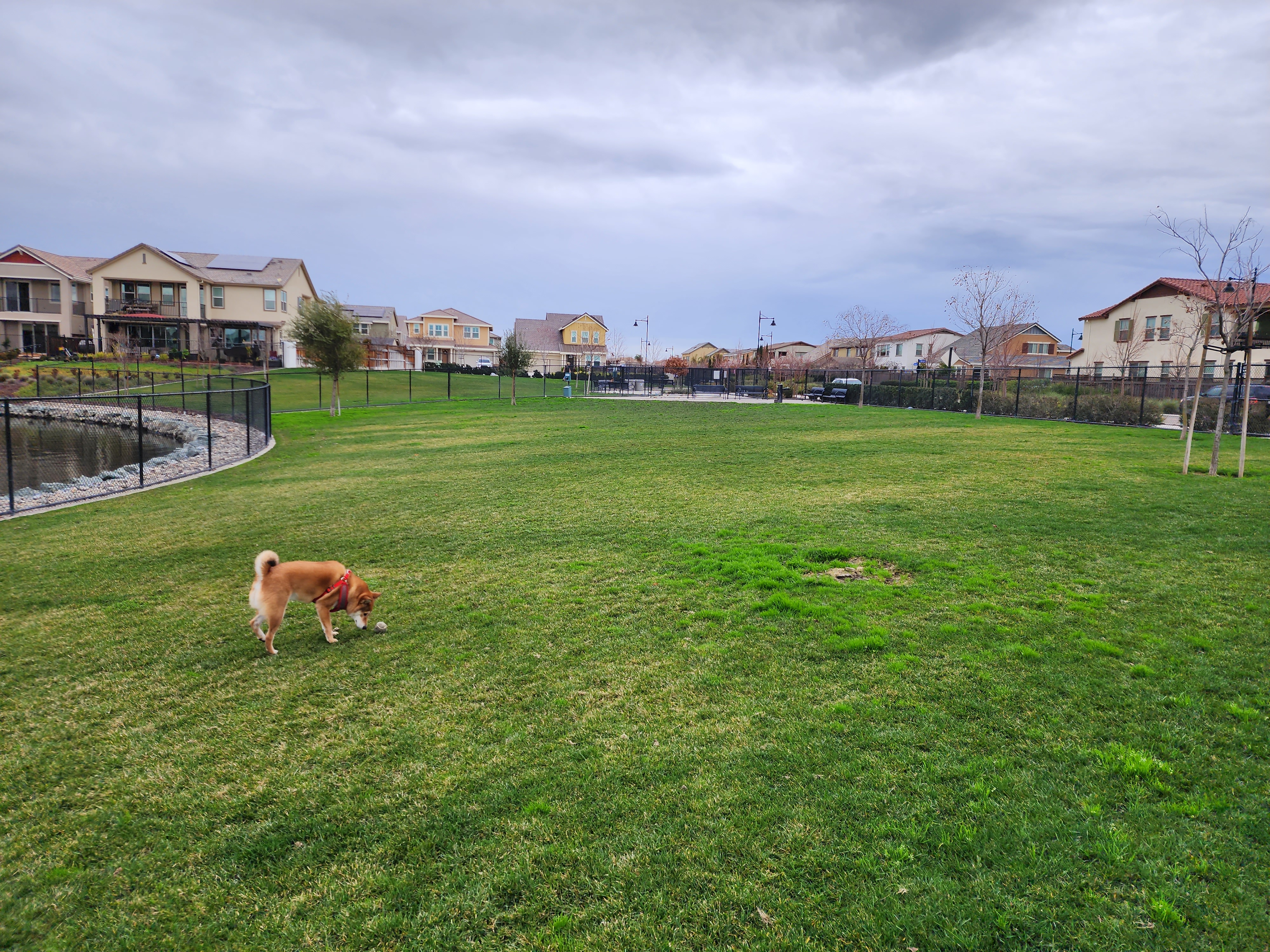 River Islands Dog Park
