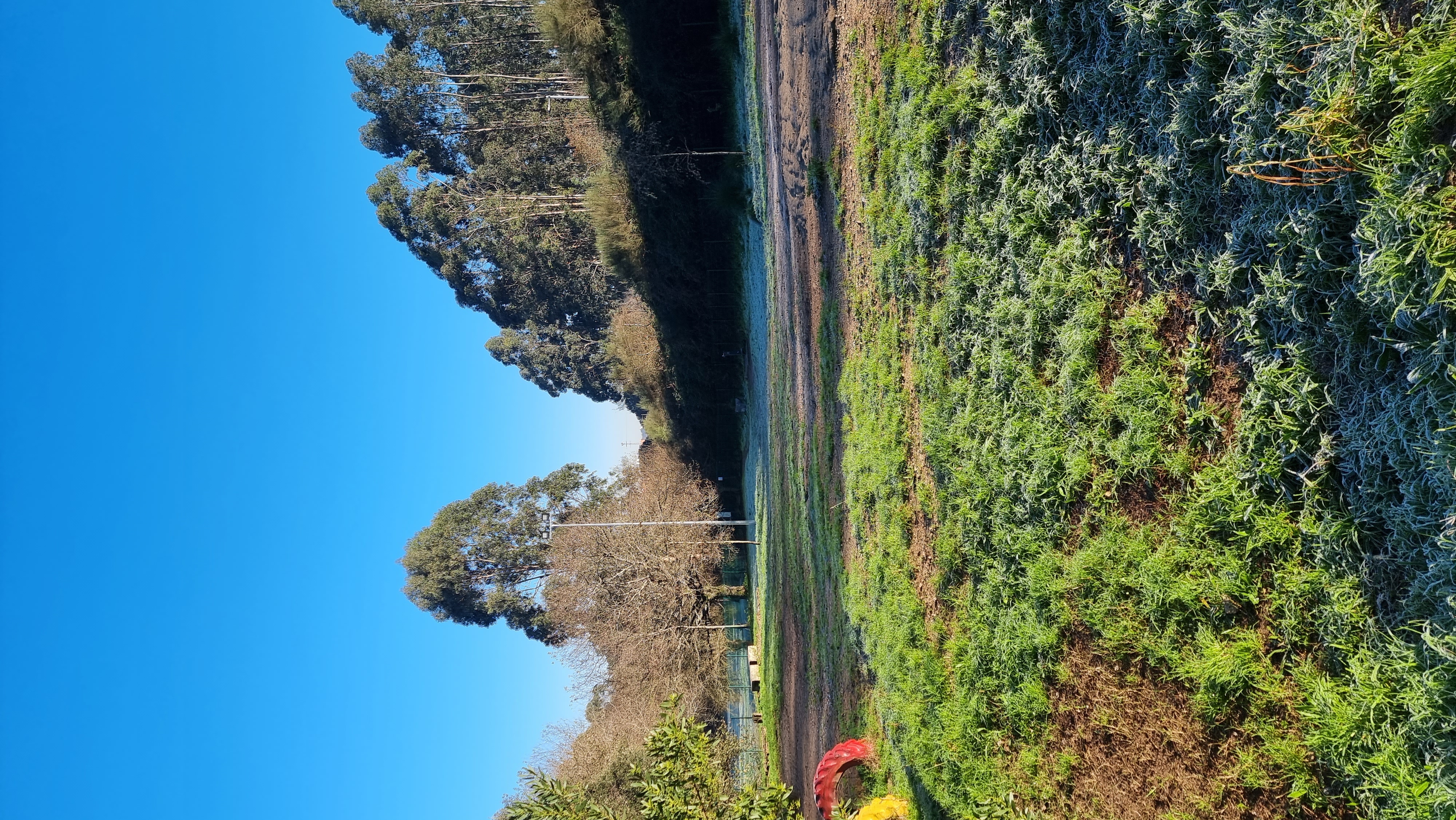Parque Canino de Picoutos