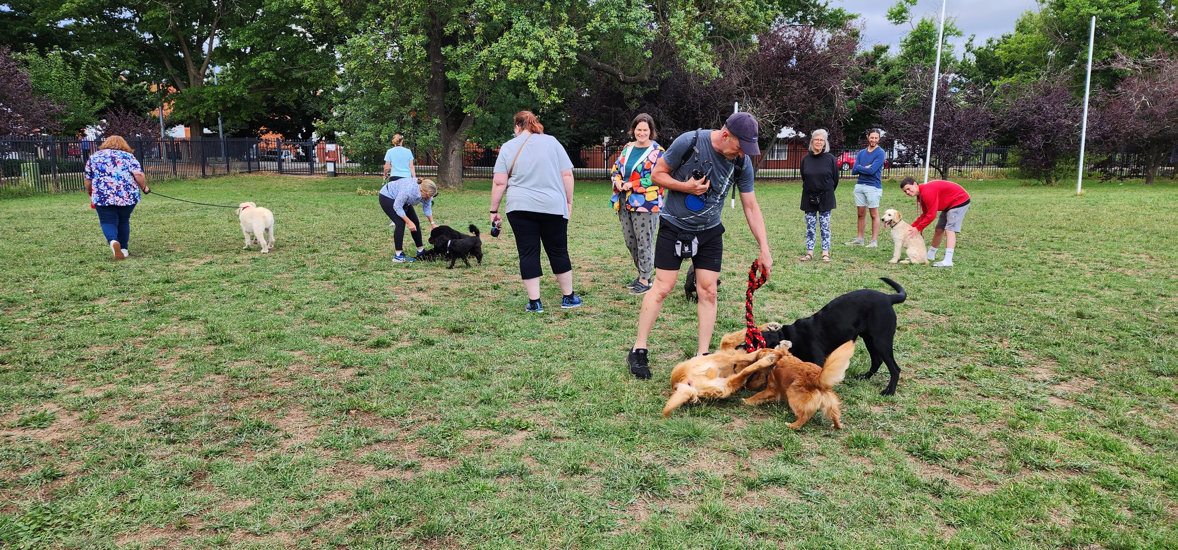 Telopea Park School Playing Fields