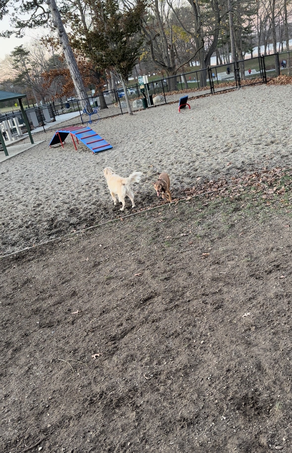 Farm Pond Dog Park
