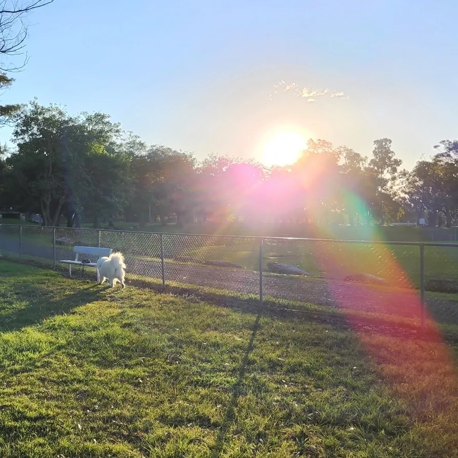 Warragamba Off-Leash Dog Park