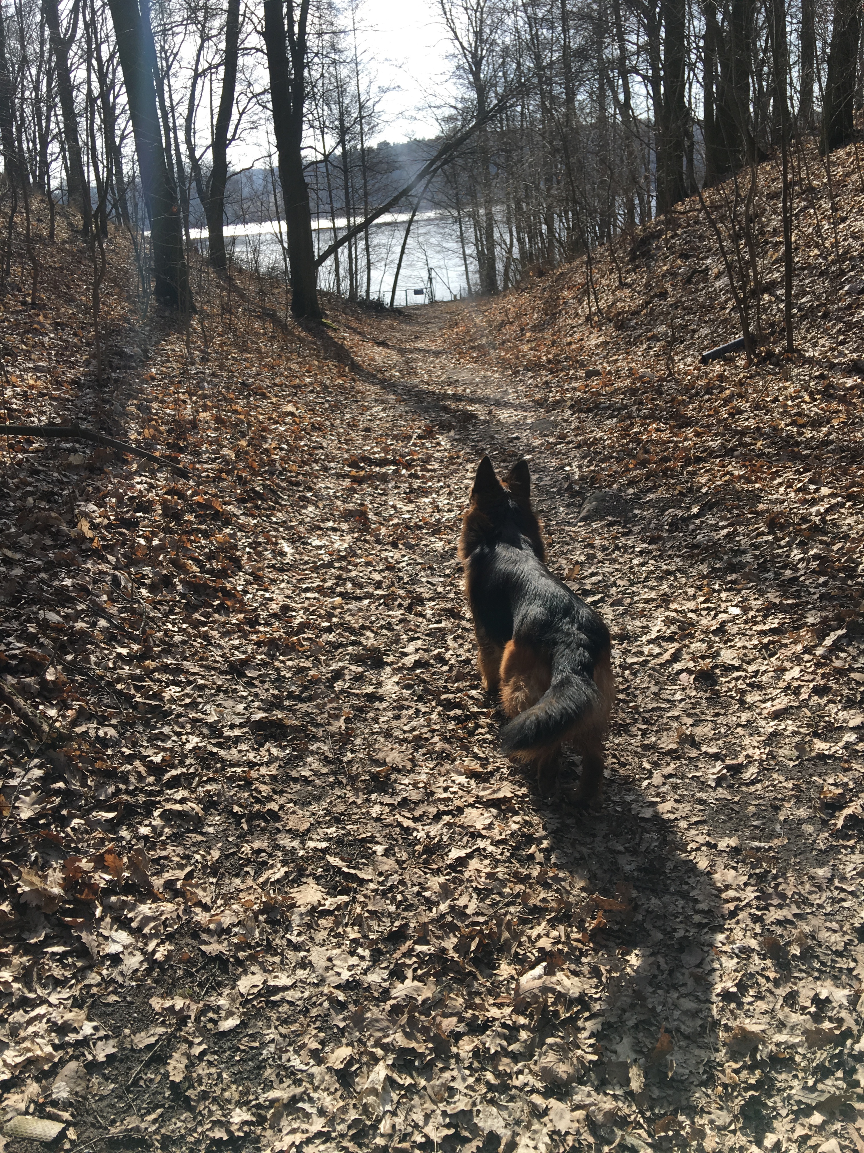 Jankowo Off Leash-Park