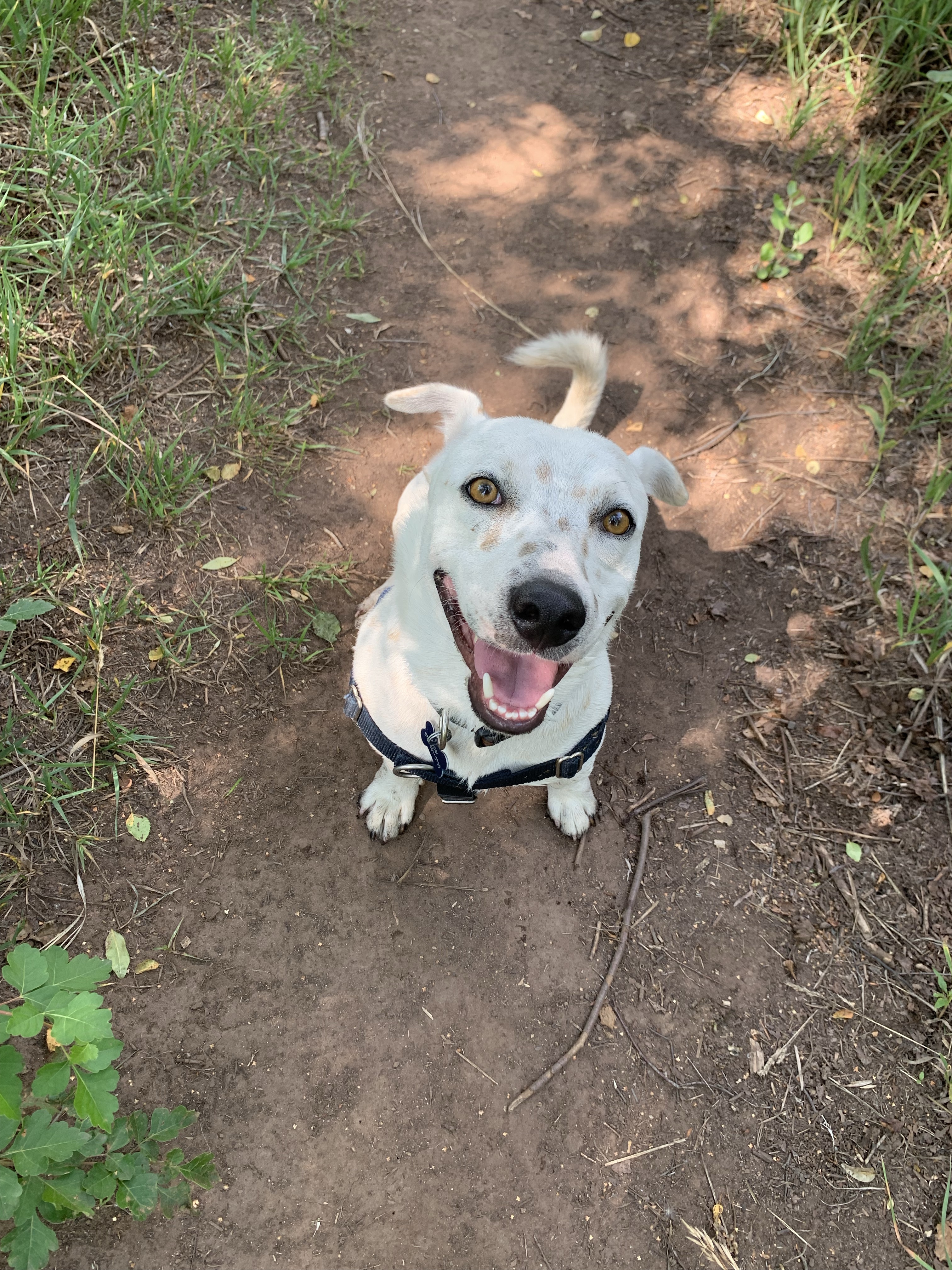 Carbondale Nature Park