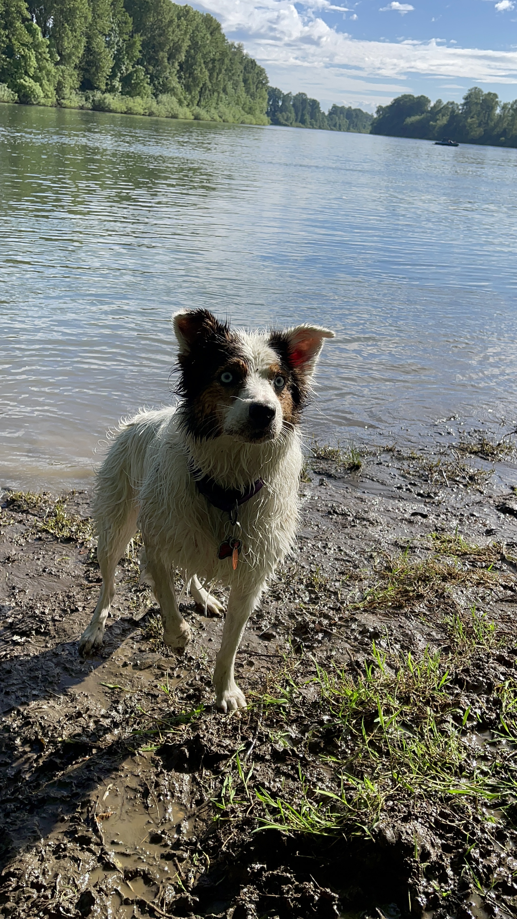 Rogers Landing County Park