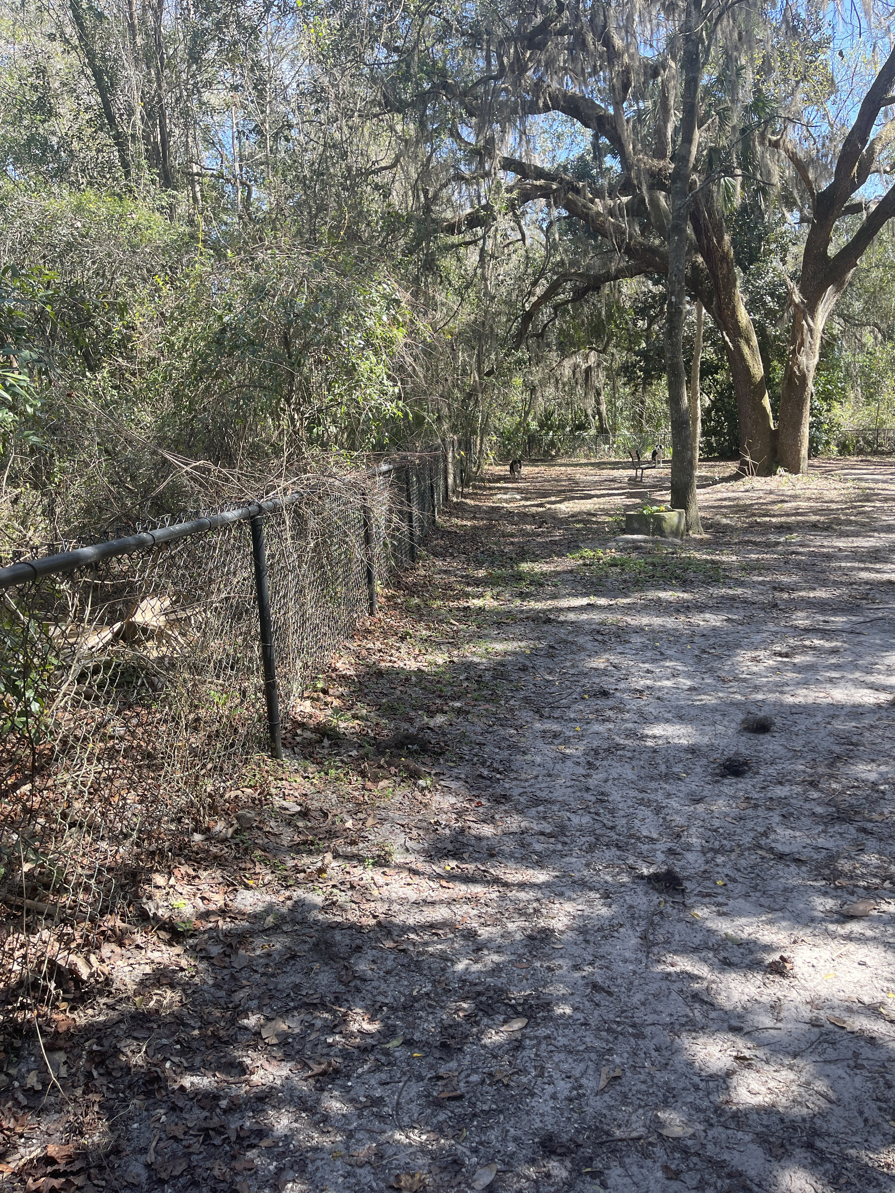 Gemini Springs Dog Park
