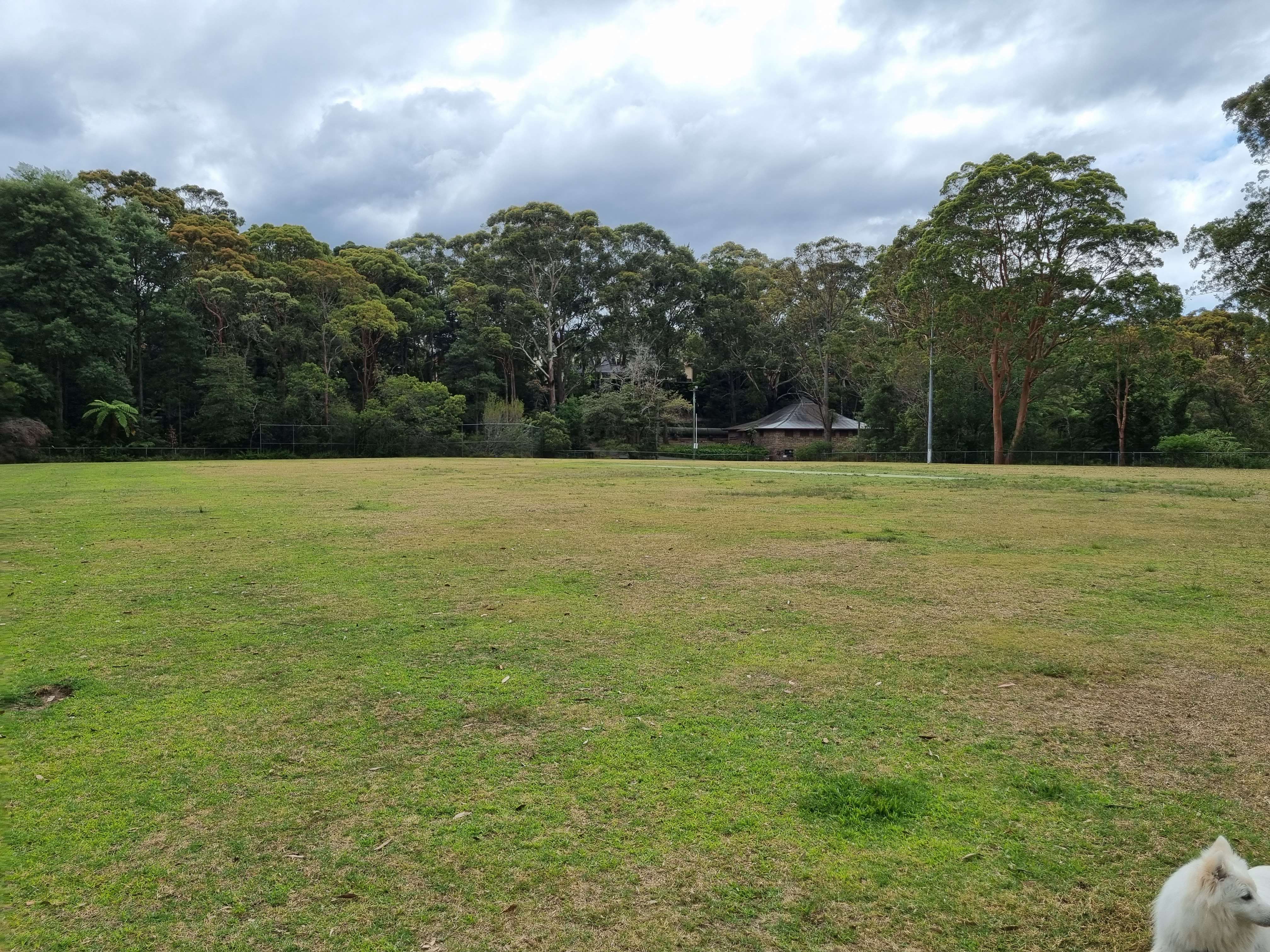 Barra Brui Oval