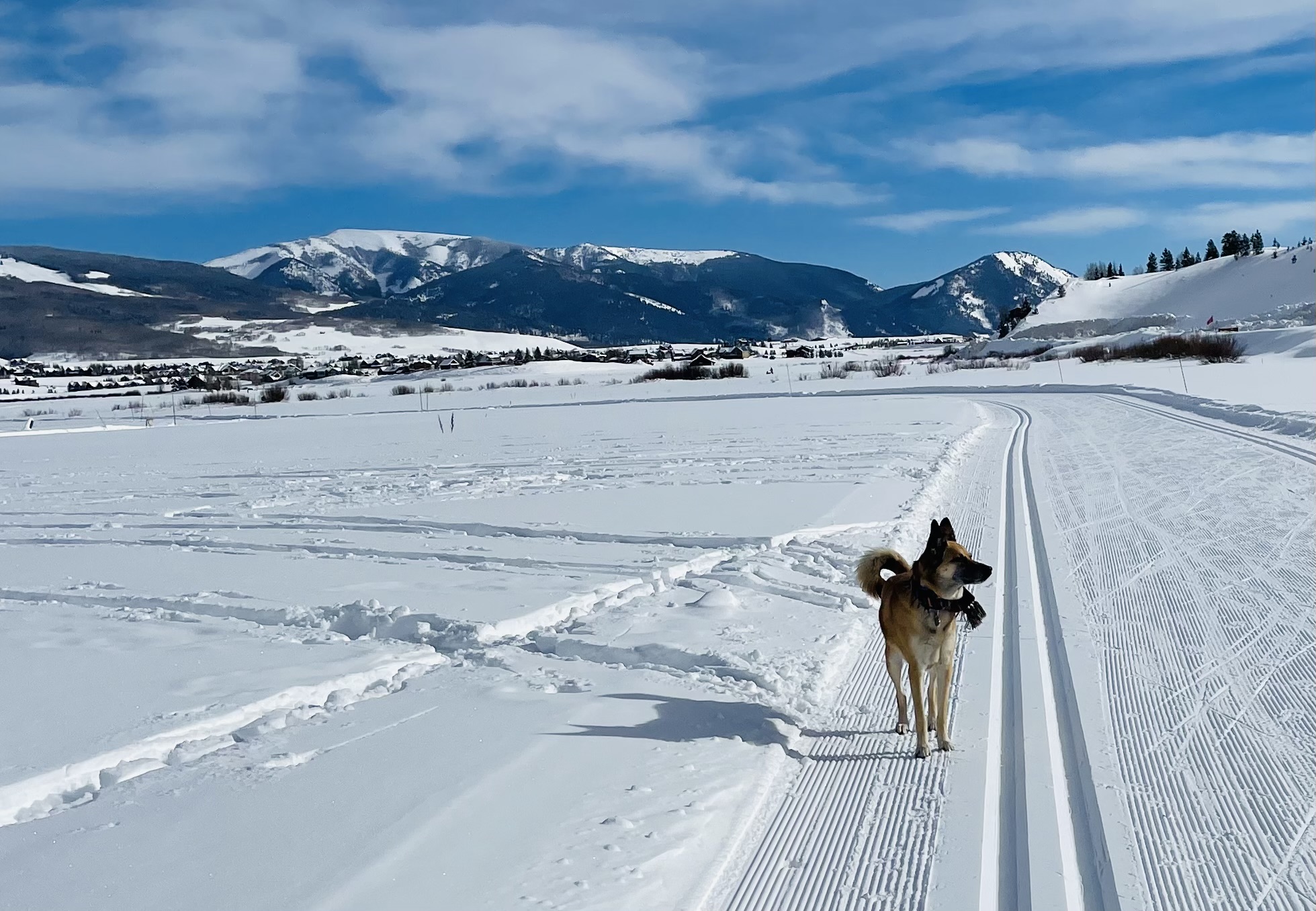 Town Ranch Nordic Trail