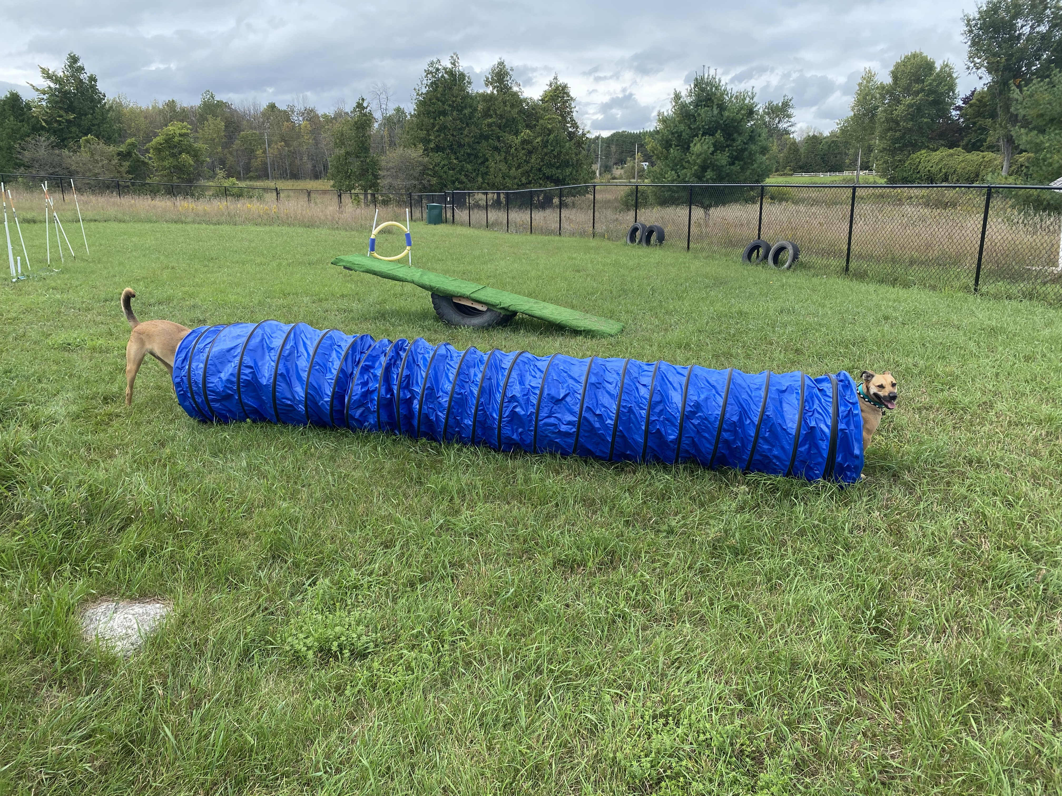 Pawradise Acres (PRIVATE PARK)