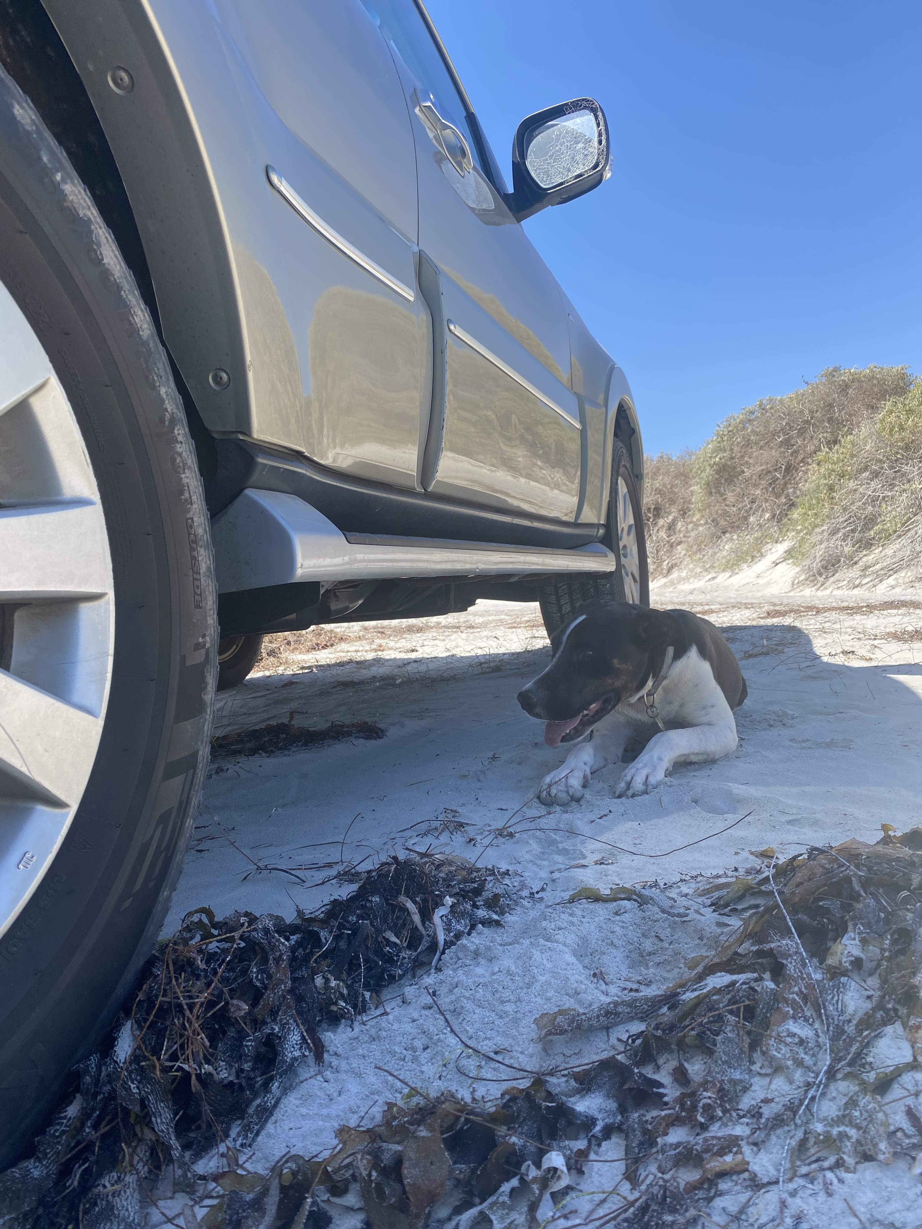 Separation Point Beach