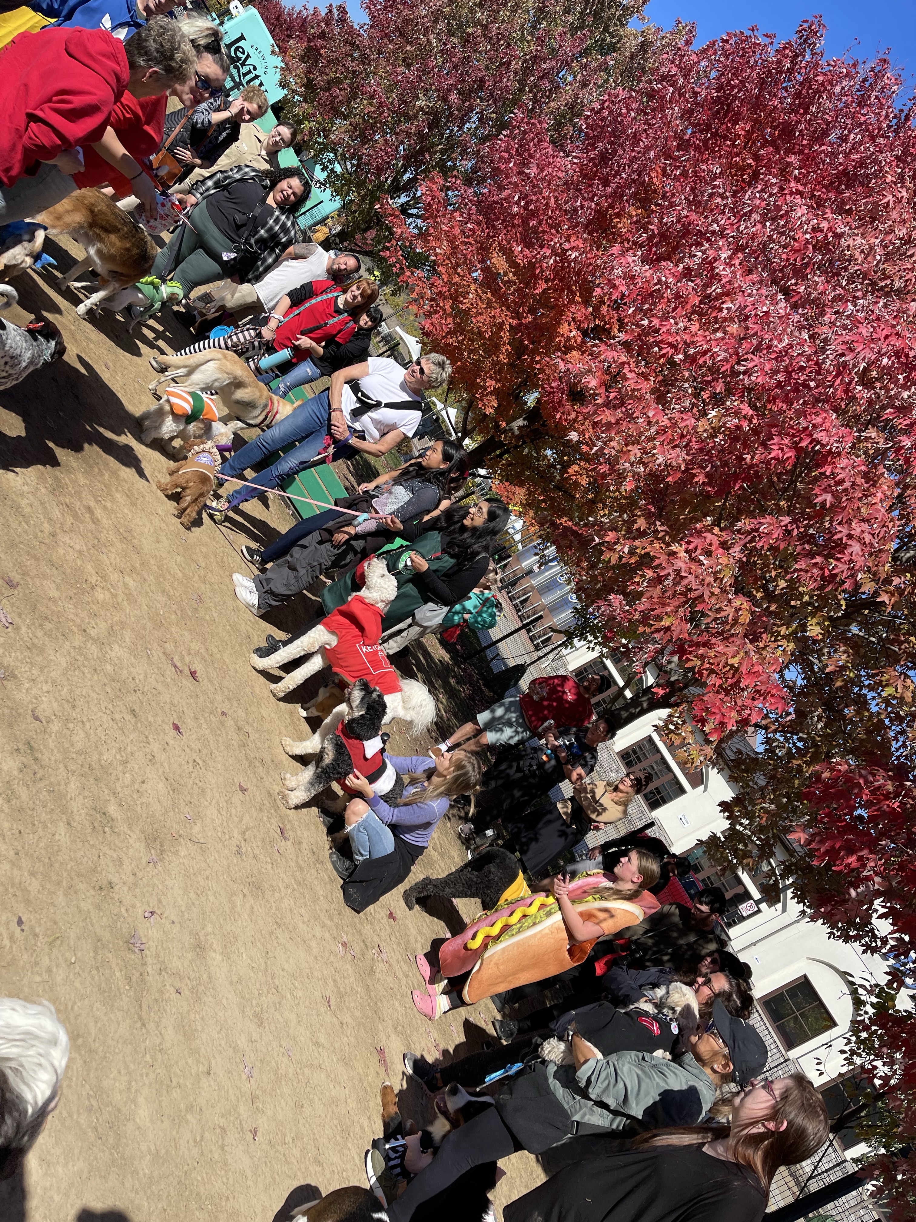 Southside Works Dog Park