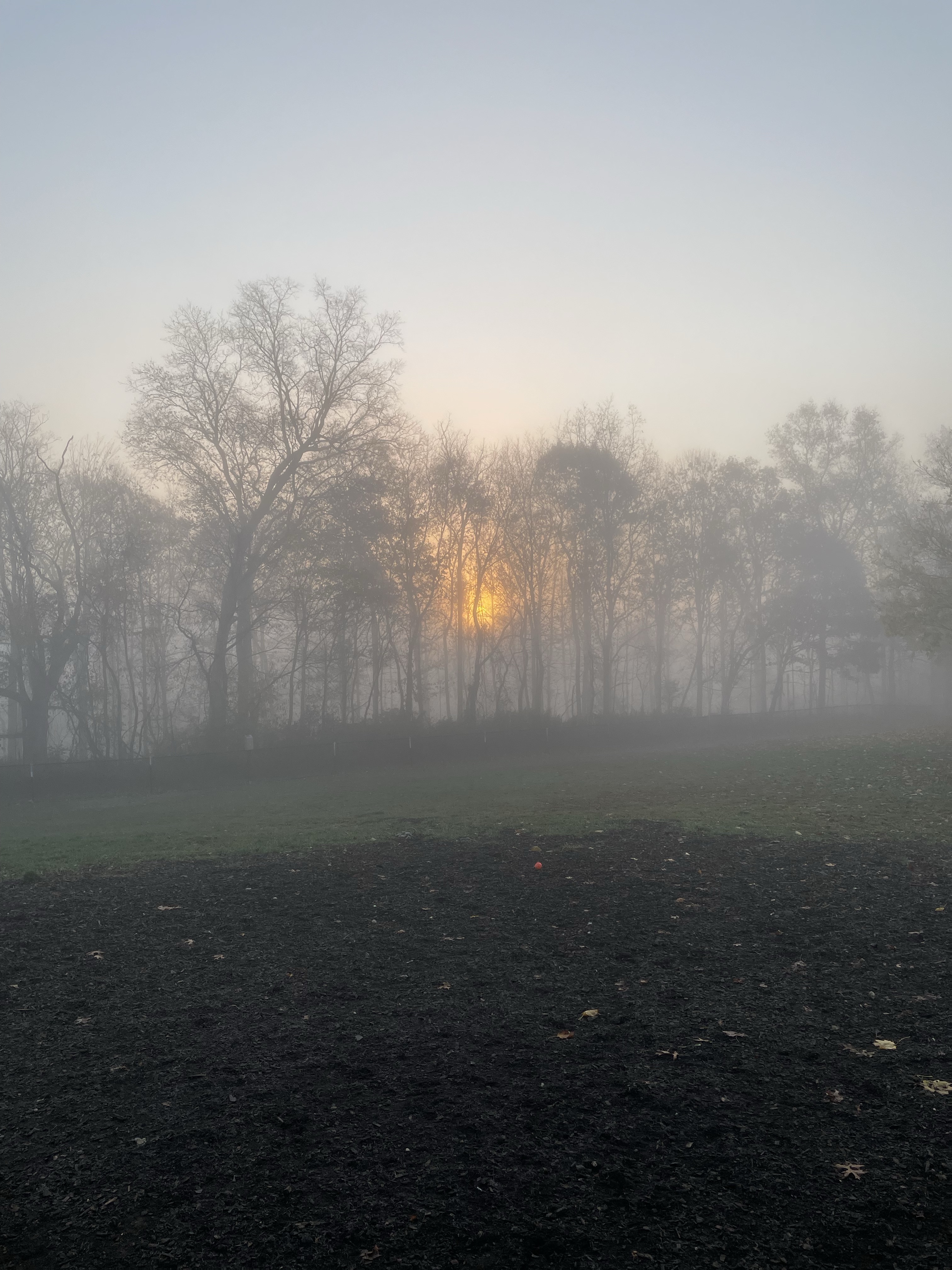 New Fairfield Dog Park