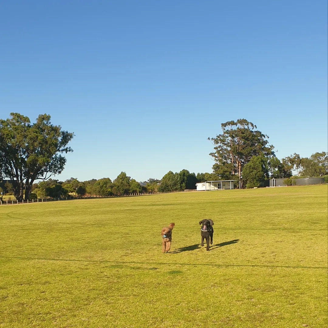 Vasse Community Park