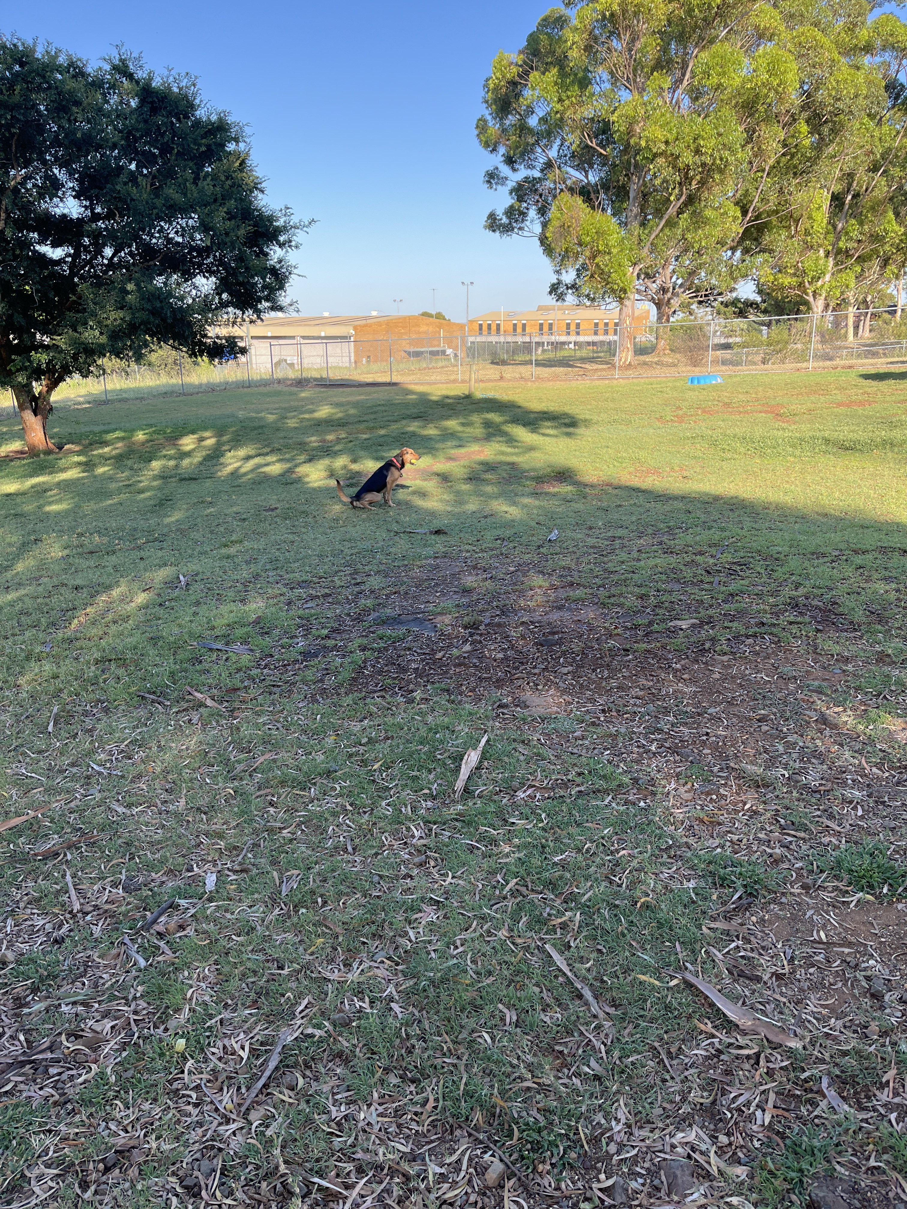 Powerhouse Dog Park