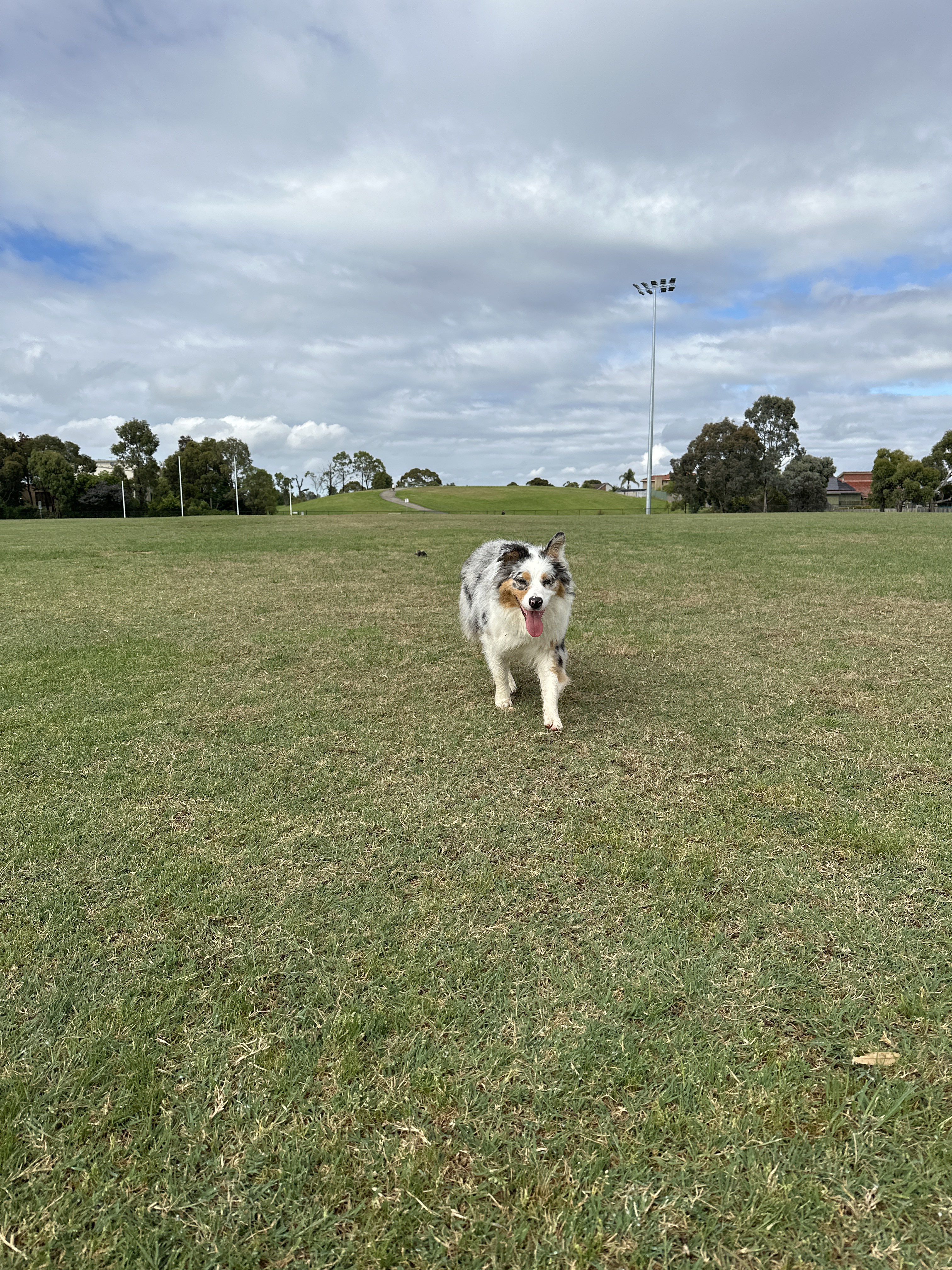 Diamond Hills Reserve
