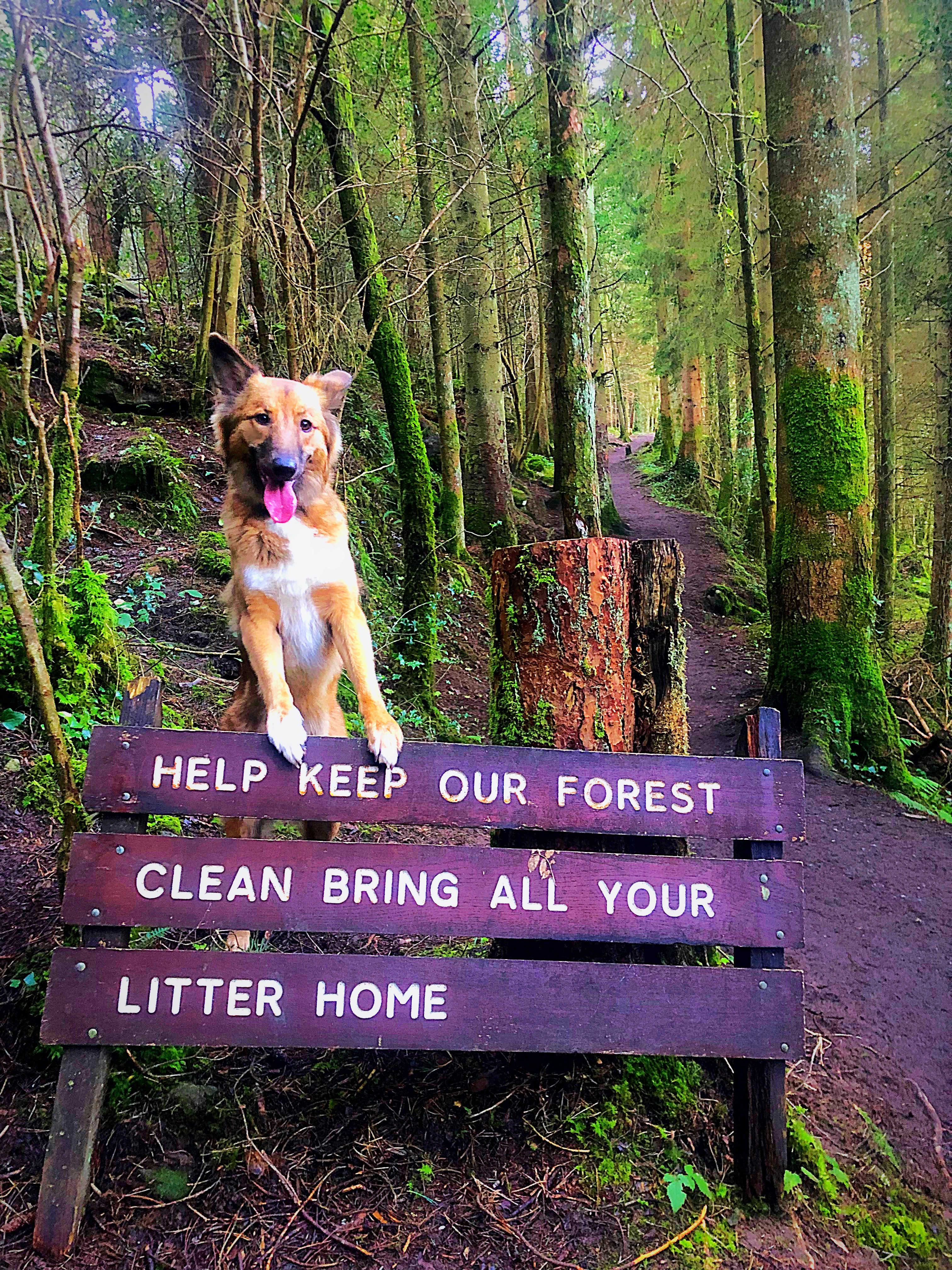 Sliabh Blooms Glenbarrow Echo Trail
