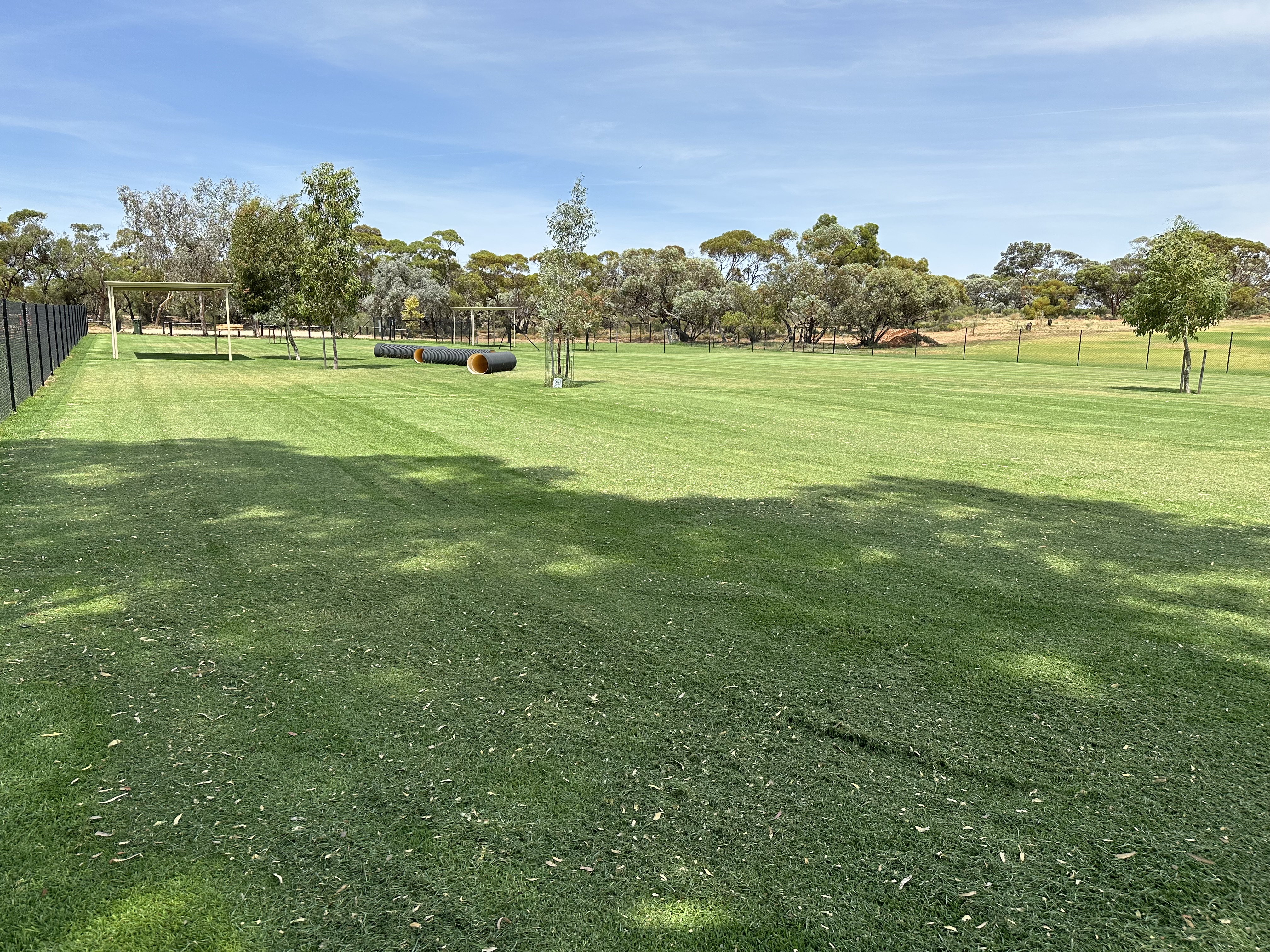 Colin Jennings Apex Dog Park
