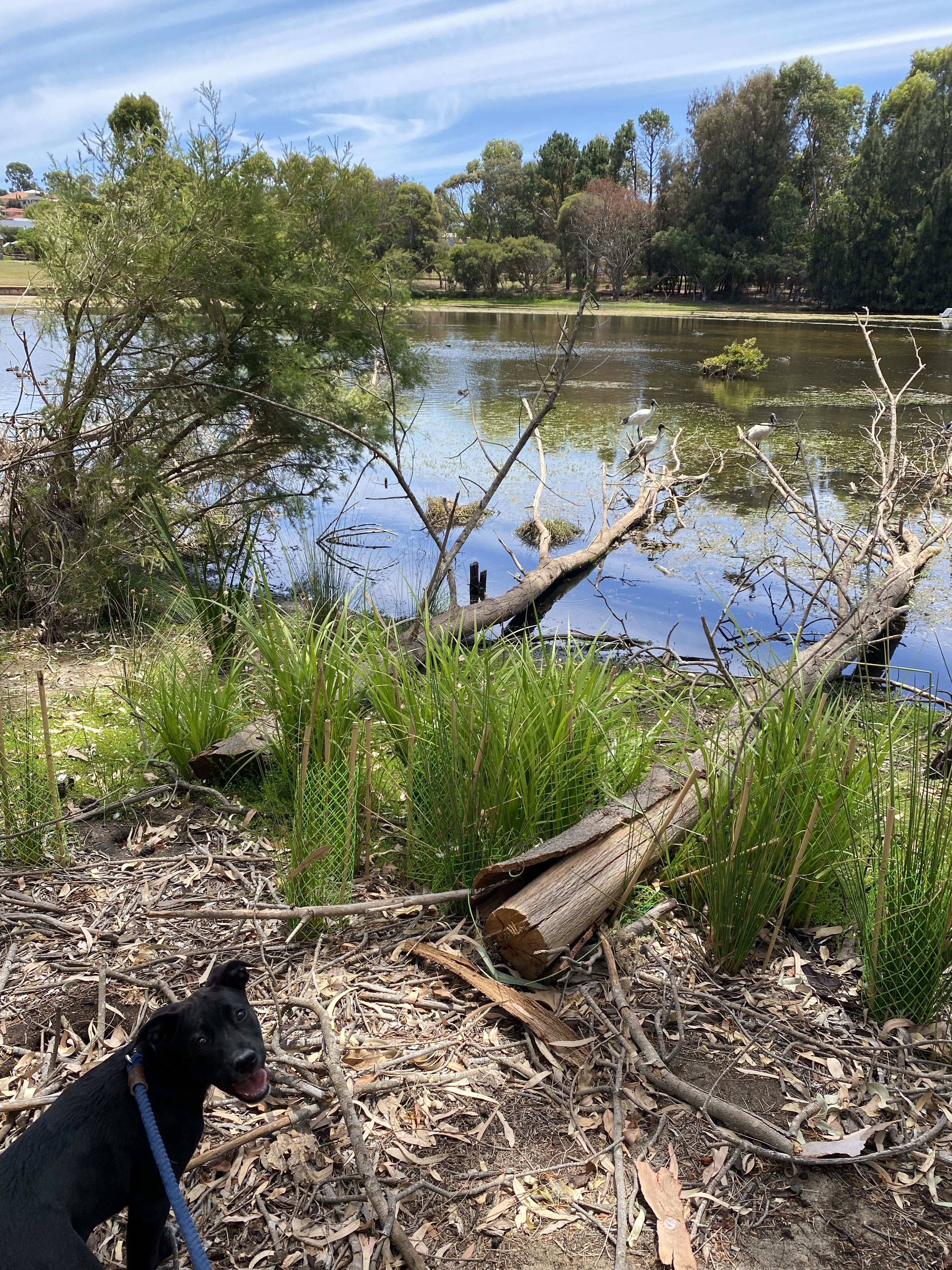 Frederick Baldwin Park
