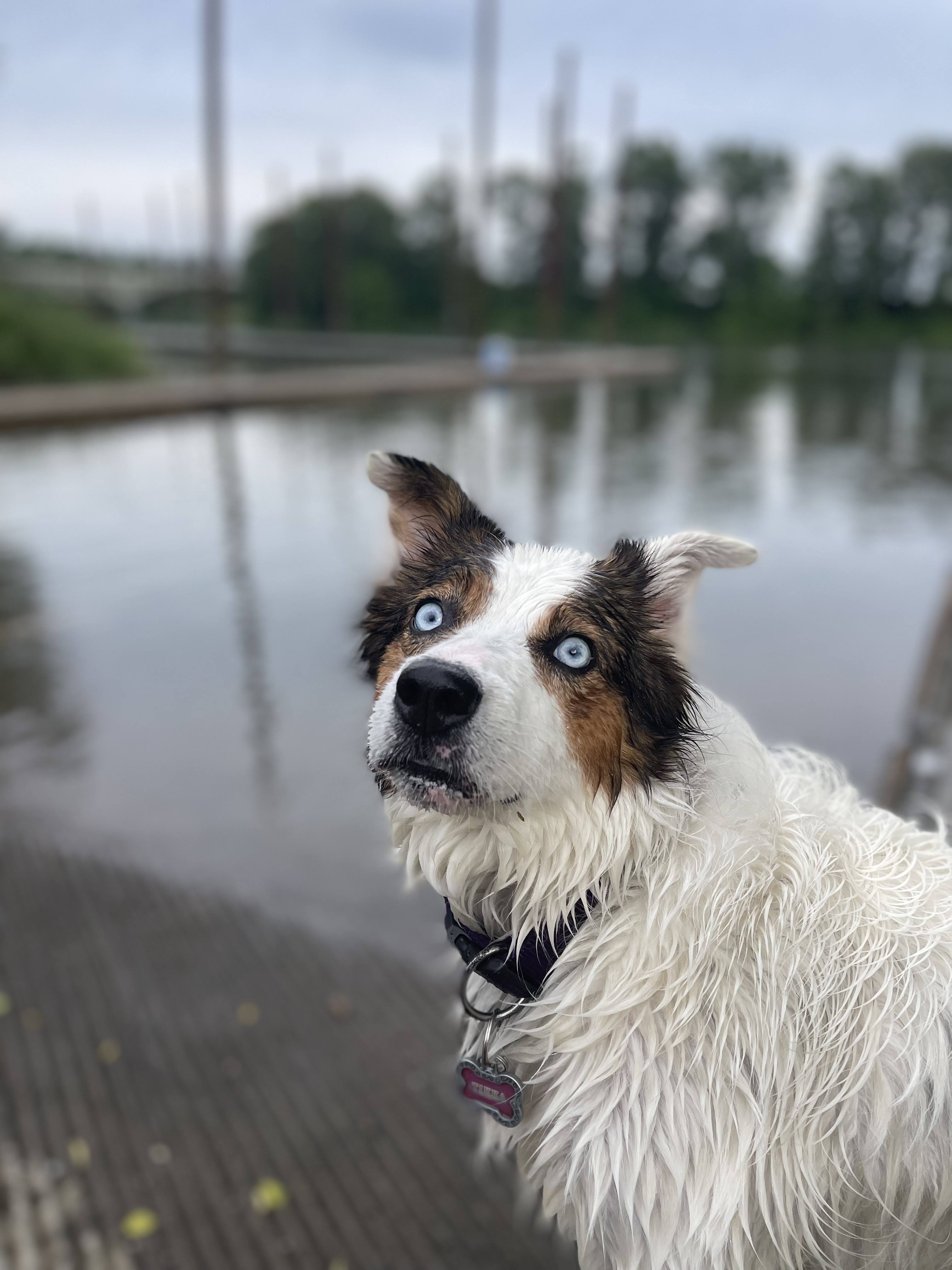 Rogers Landing County Park