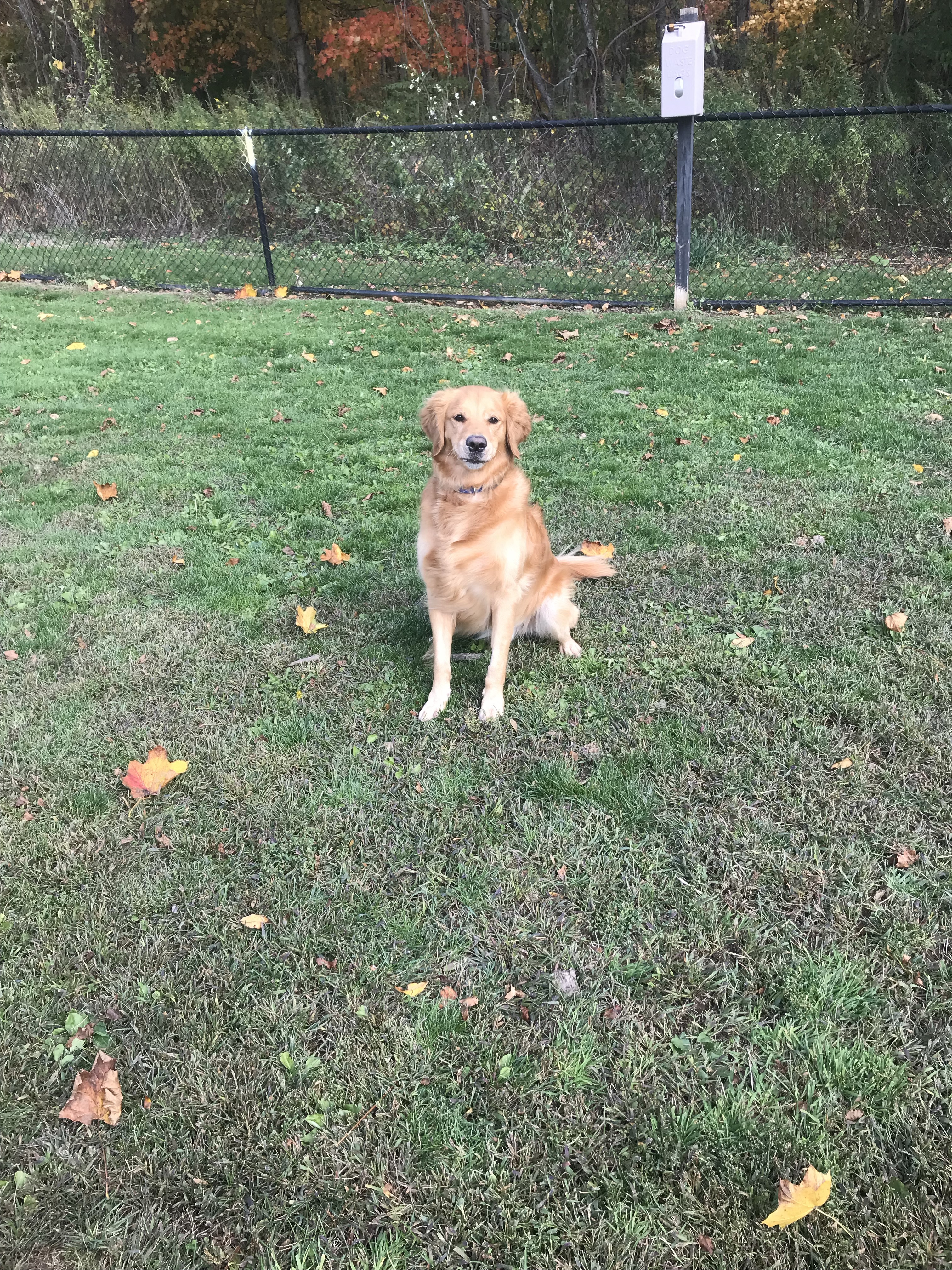 New Fairfield Dog Park