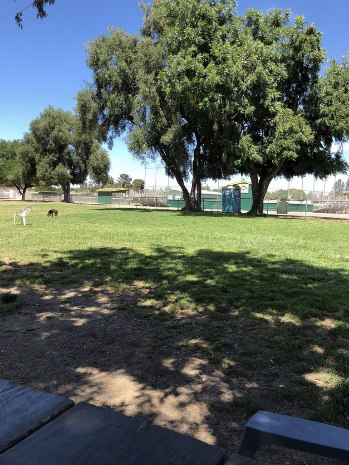 Max Baer Dog Park